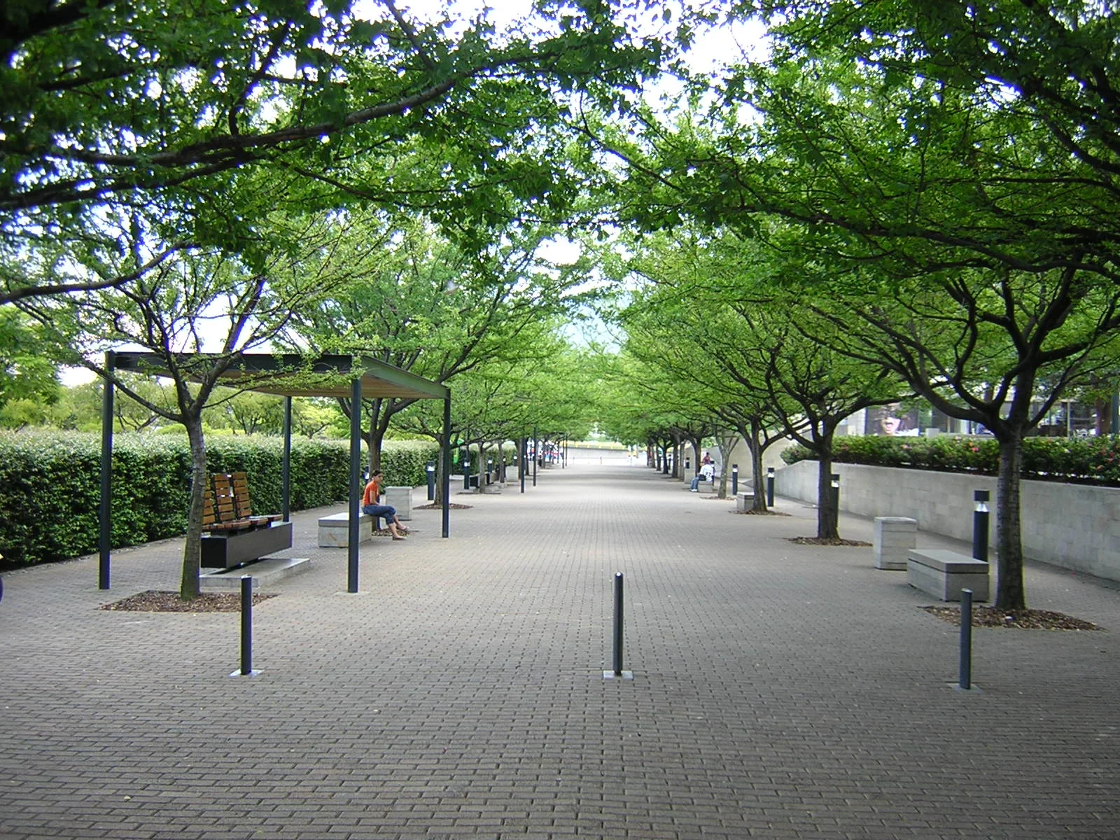 parque de los pies Descalzos