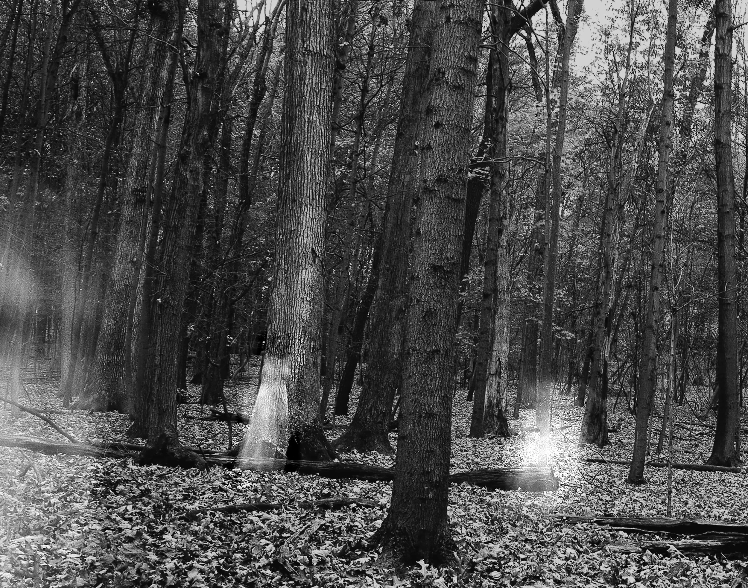 multiple-EDIT 12.10 .jpg