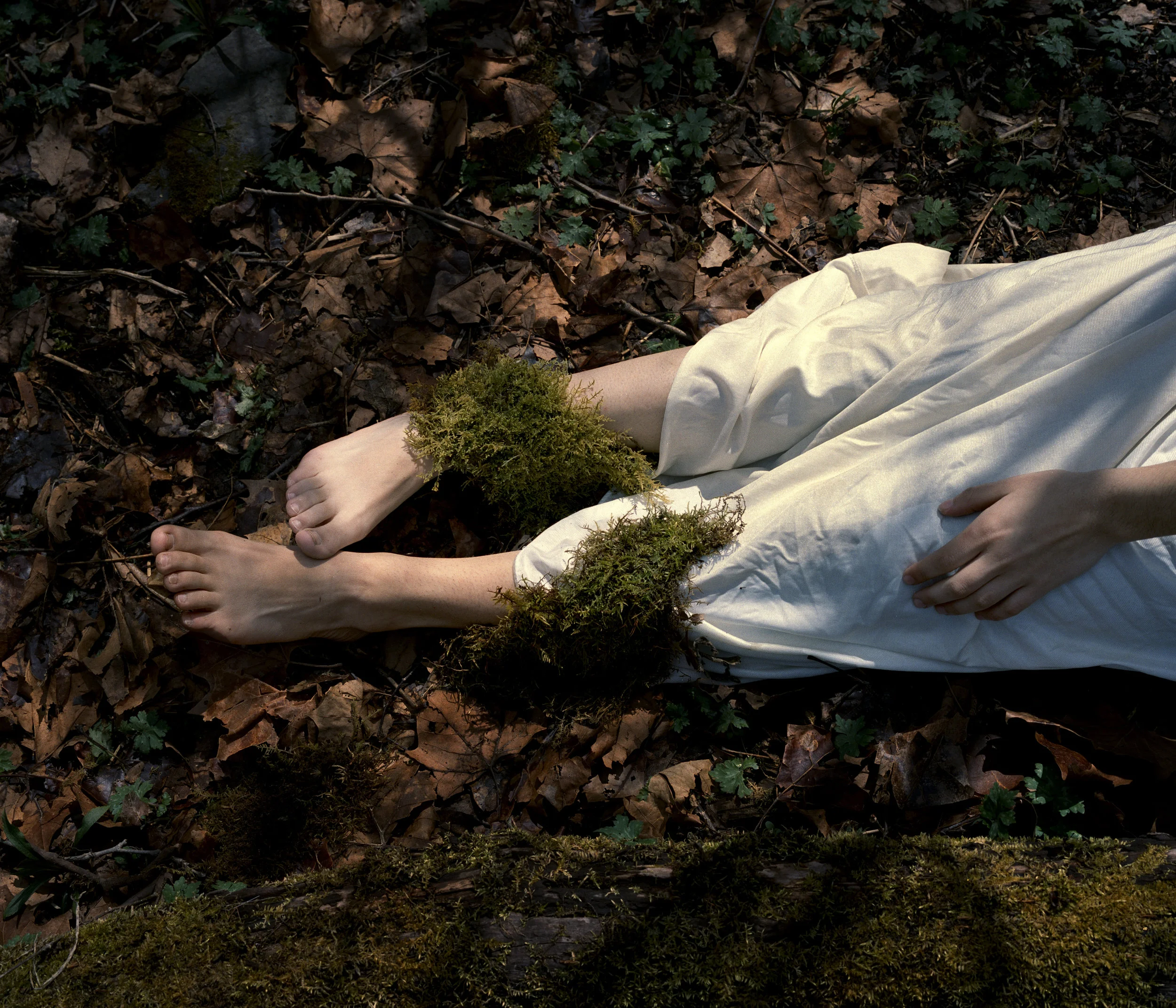 moss feet2.jpg
