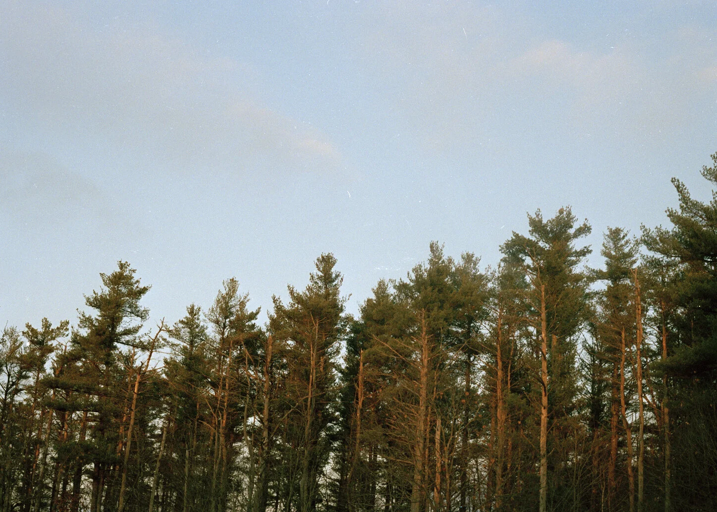home2.jpg