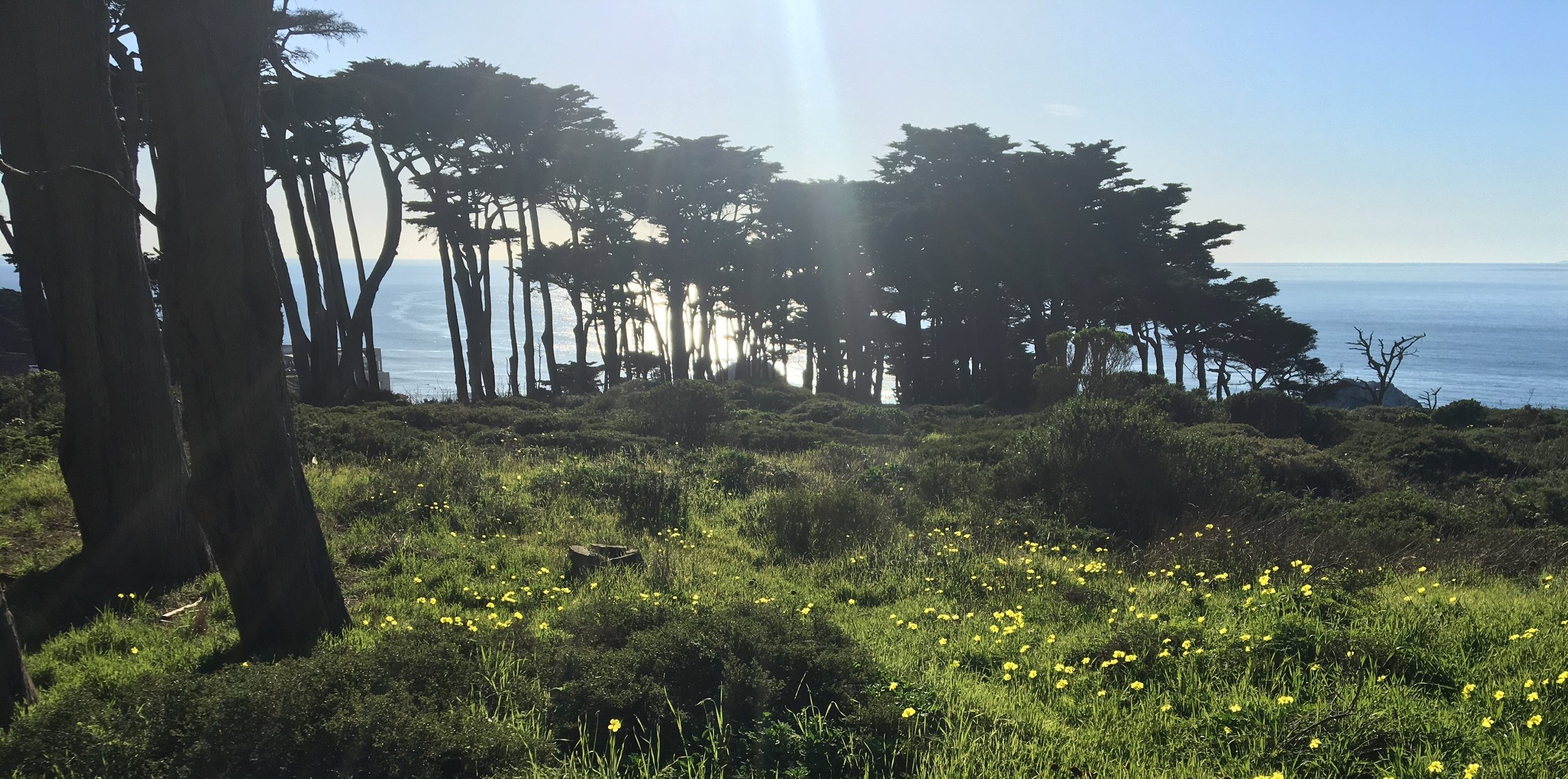 Land's End-edited.jpg