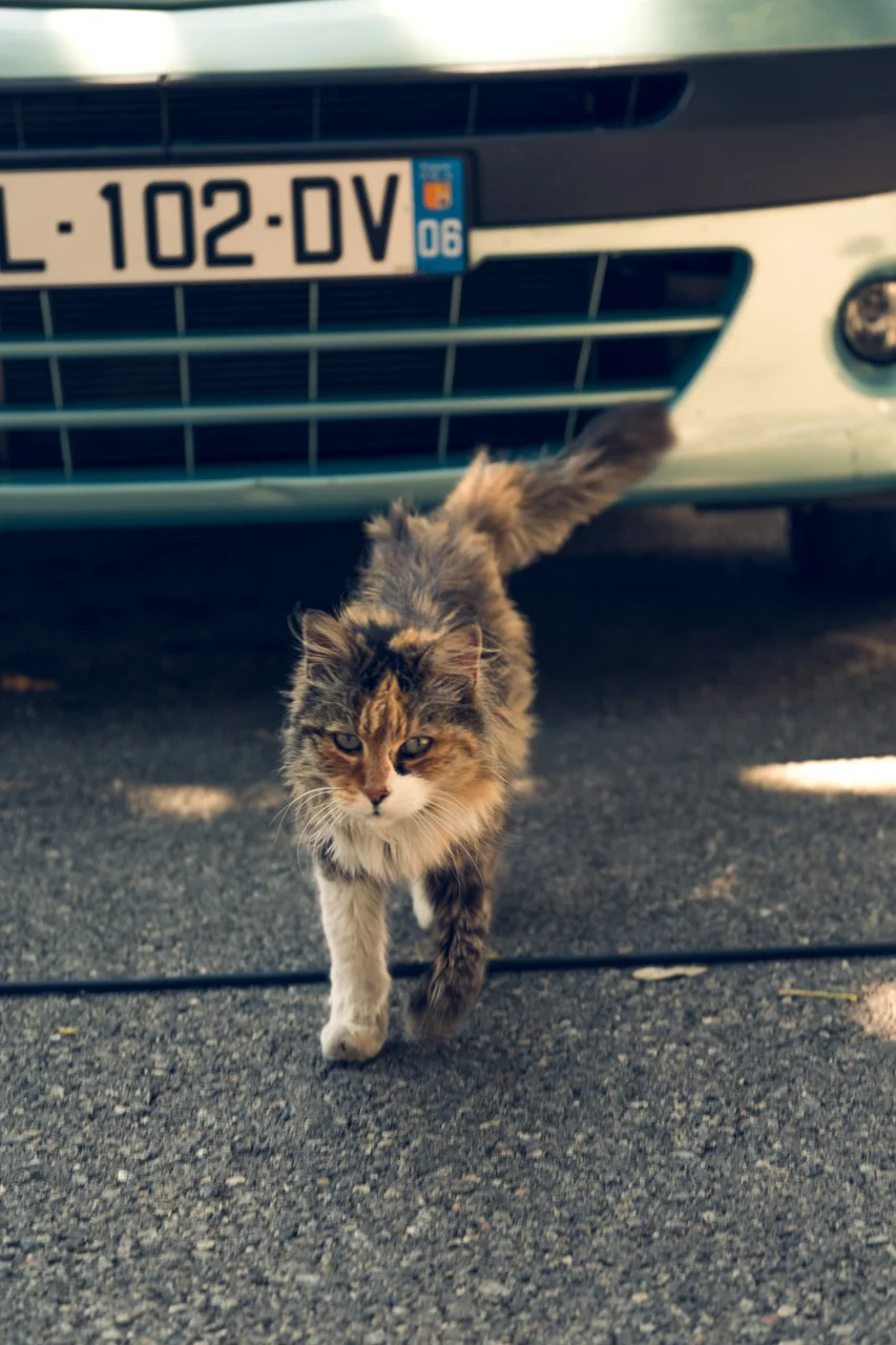 Lake Garda region, Italy