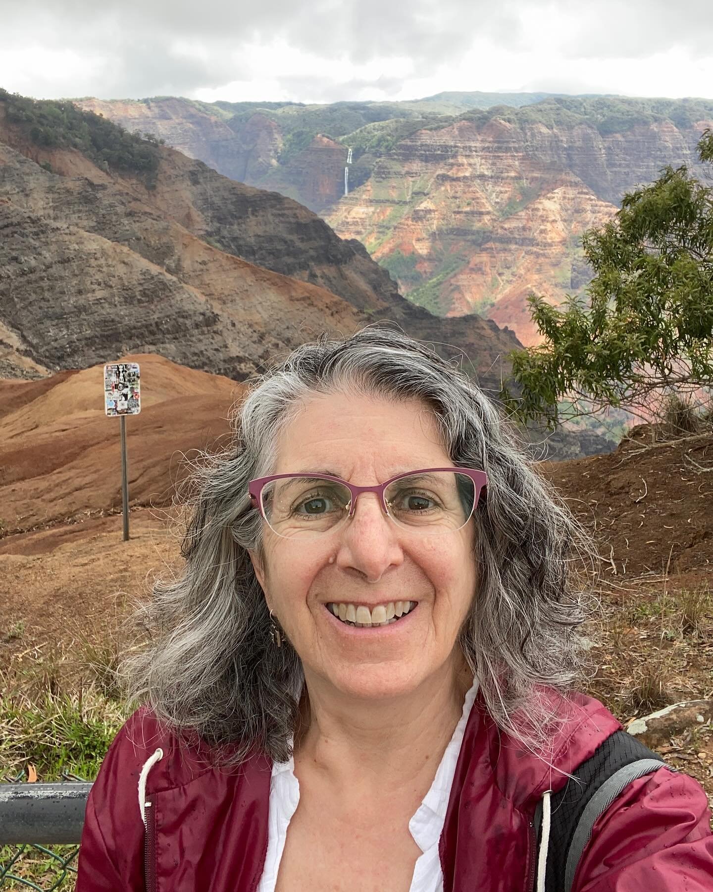HI FROM KAUAI: I&rsquo;ve been to Hawaii before (a few times) but this is my first time on Kauai. There&rsquo;s so much beauty here, with lush, thick, and varied foliage, rich and wonderful soil and lots of red earth. The landscapes most impressive f