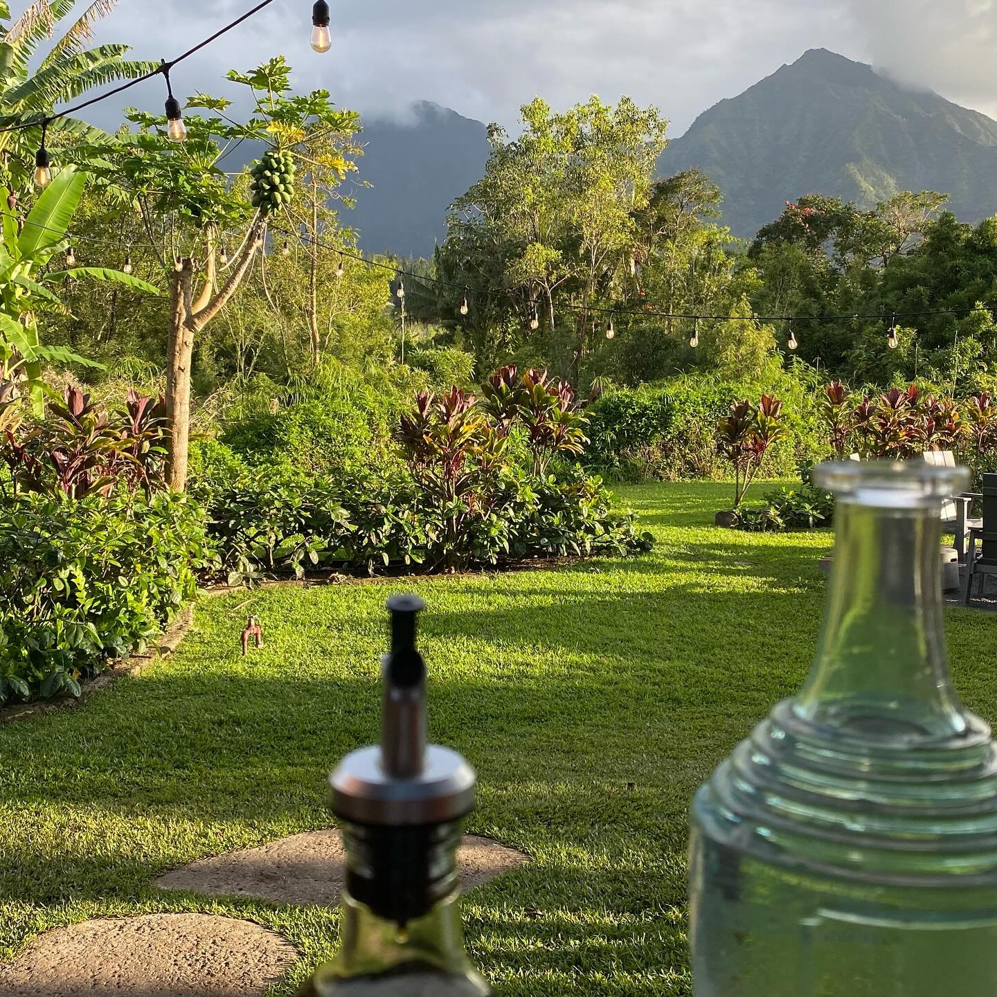 OUR VIEW at dinner last night. This is what we had the delight of looking at throughout our meal at Ama Restaurant in Hanalei, Kauai. Stunning flavors in a gorgeous setting. We&rsquo;ll be going back for more.