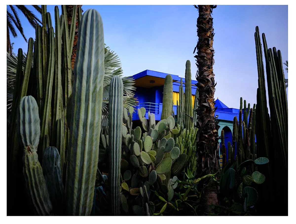 Marrakesh ysl-1 copy.jpg