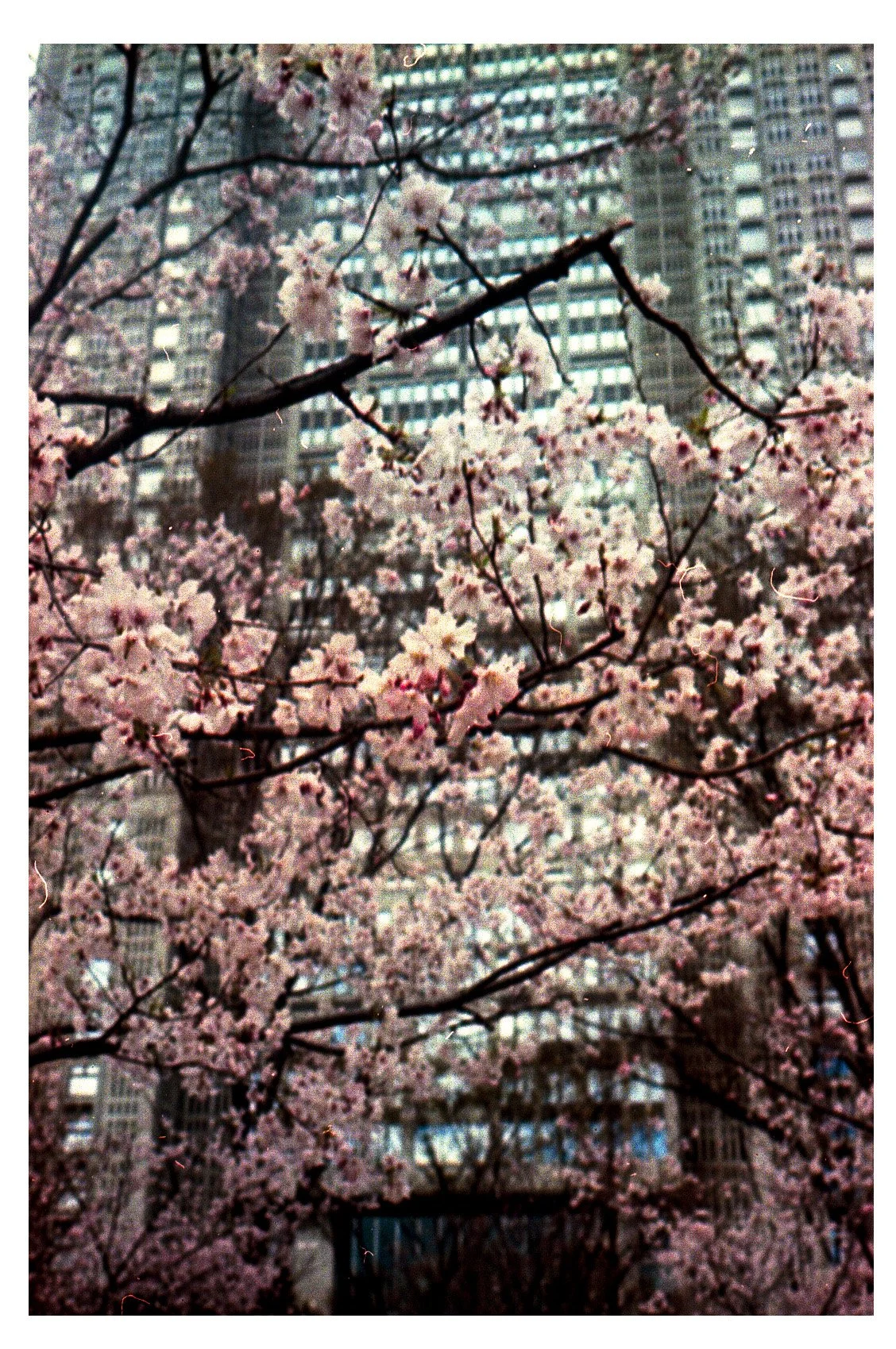 Image 3 (3) (3) (3) (3) (7) copy.jpg
