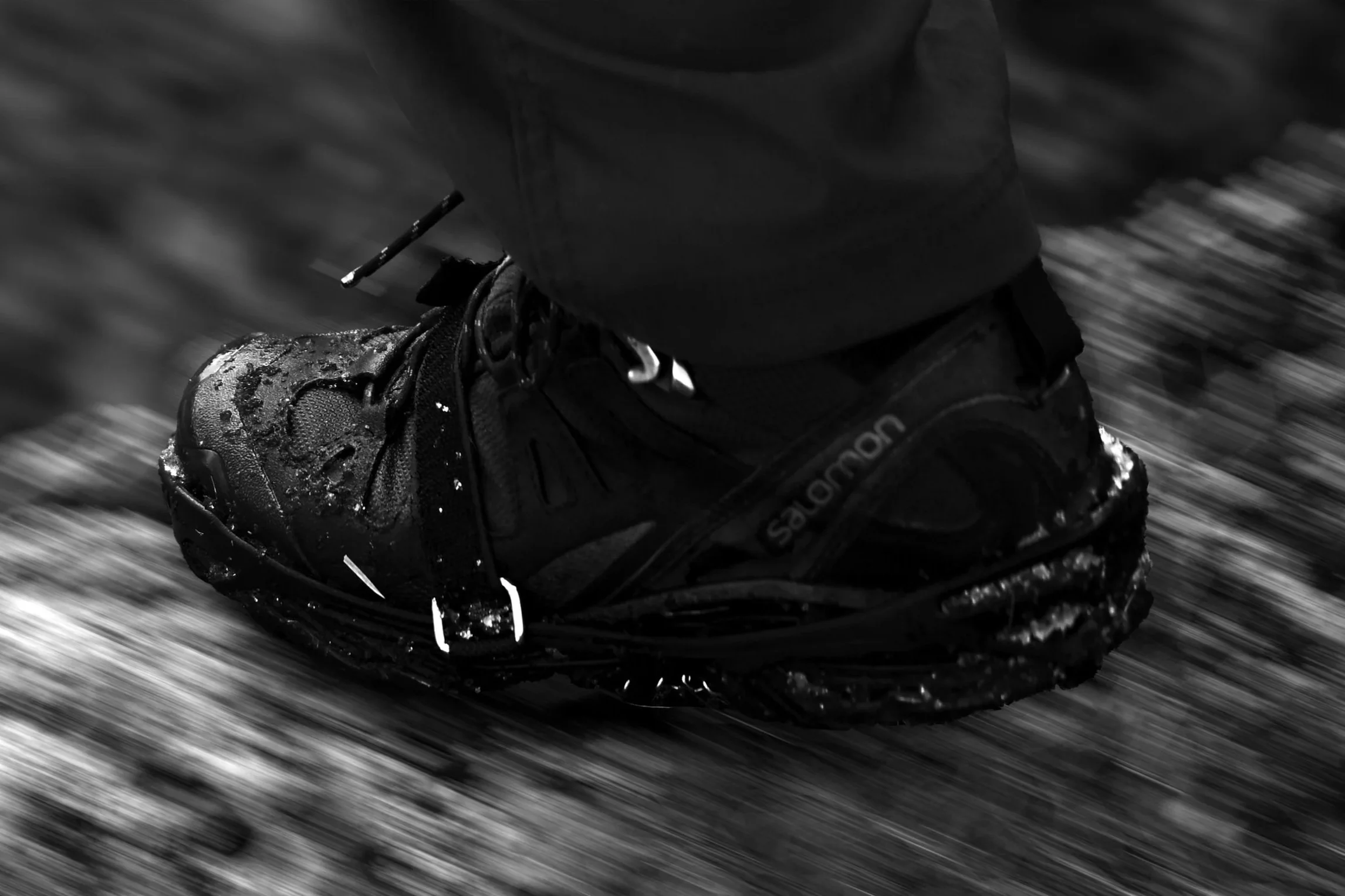 DSC_0161+copy.jpg