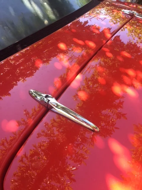 250 boot hinge fitted.JPG