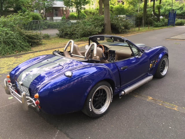 tuv cobra 2.jpg