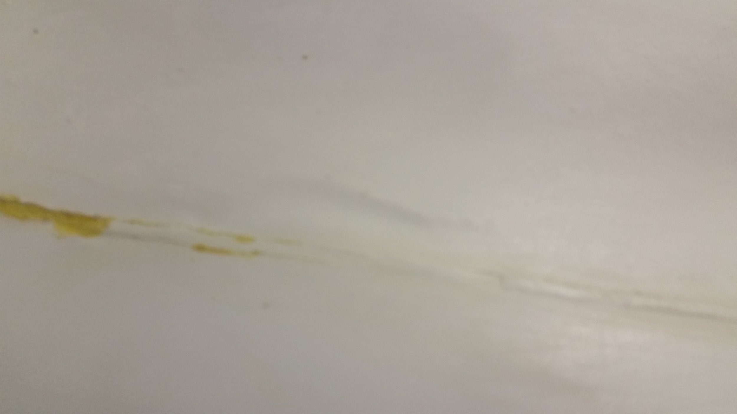 20140705_152030.jpg