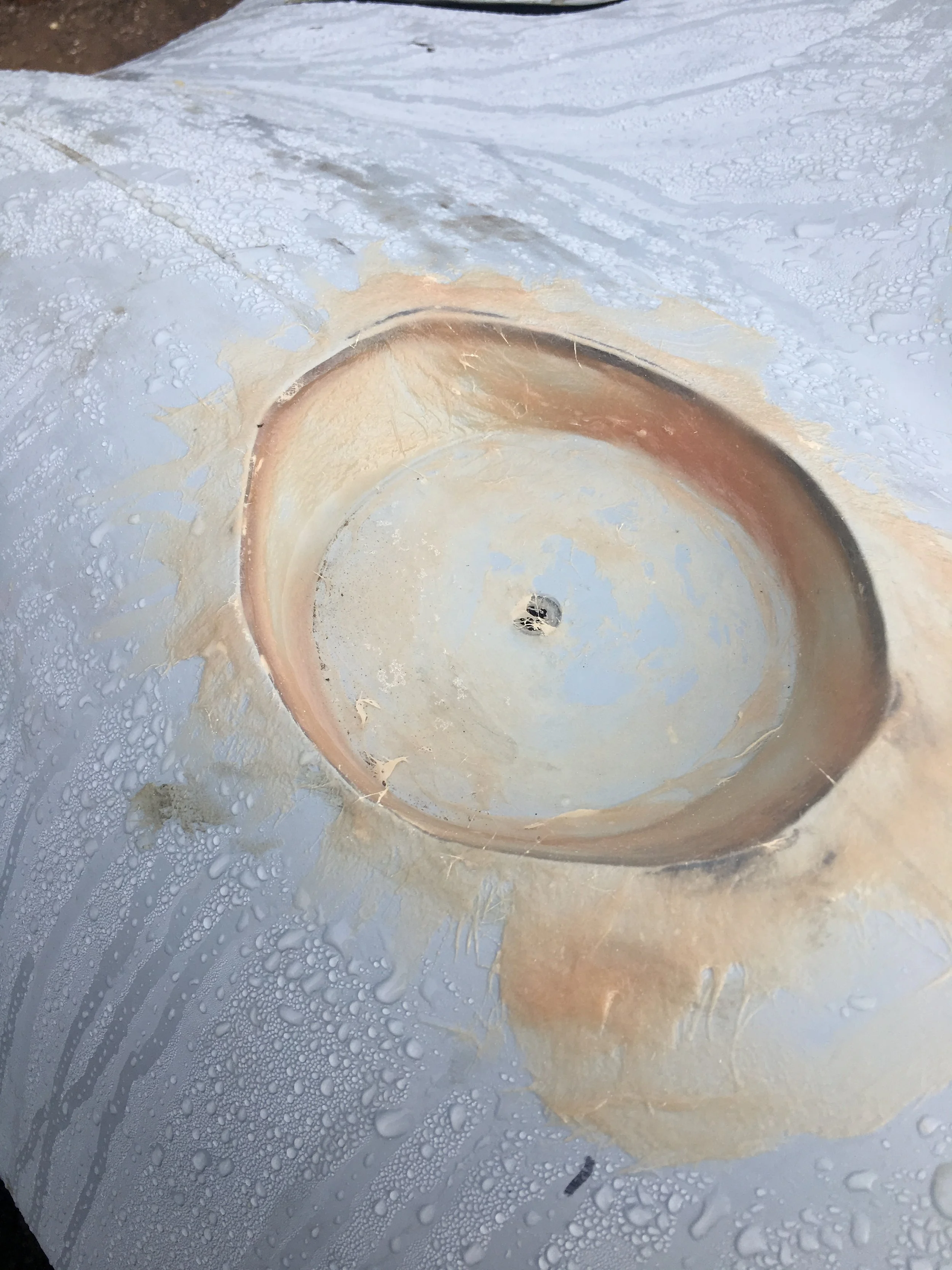 DF5D26C2-4F93-417C-A1A4-DA13BB6918E5