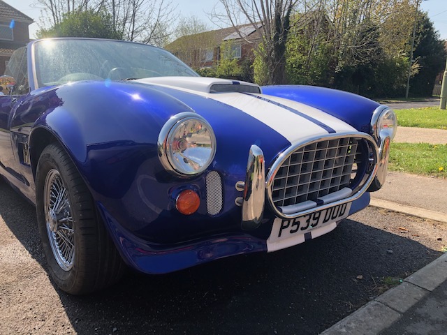 blue cobra 2.jpg