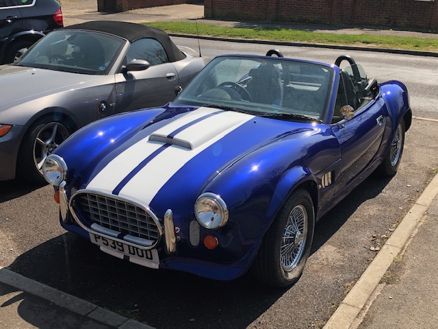 blue cobra 3.jpg