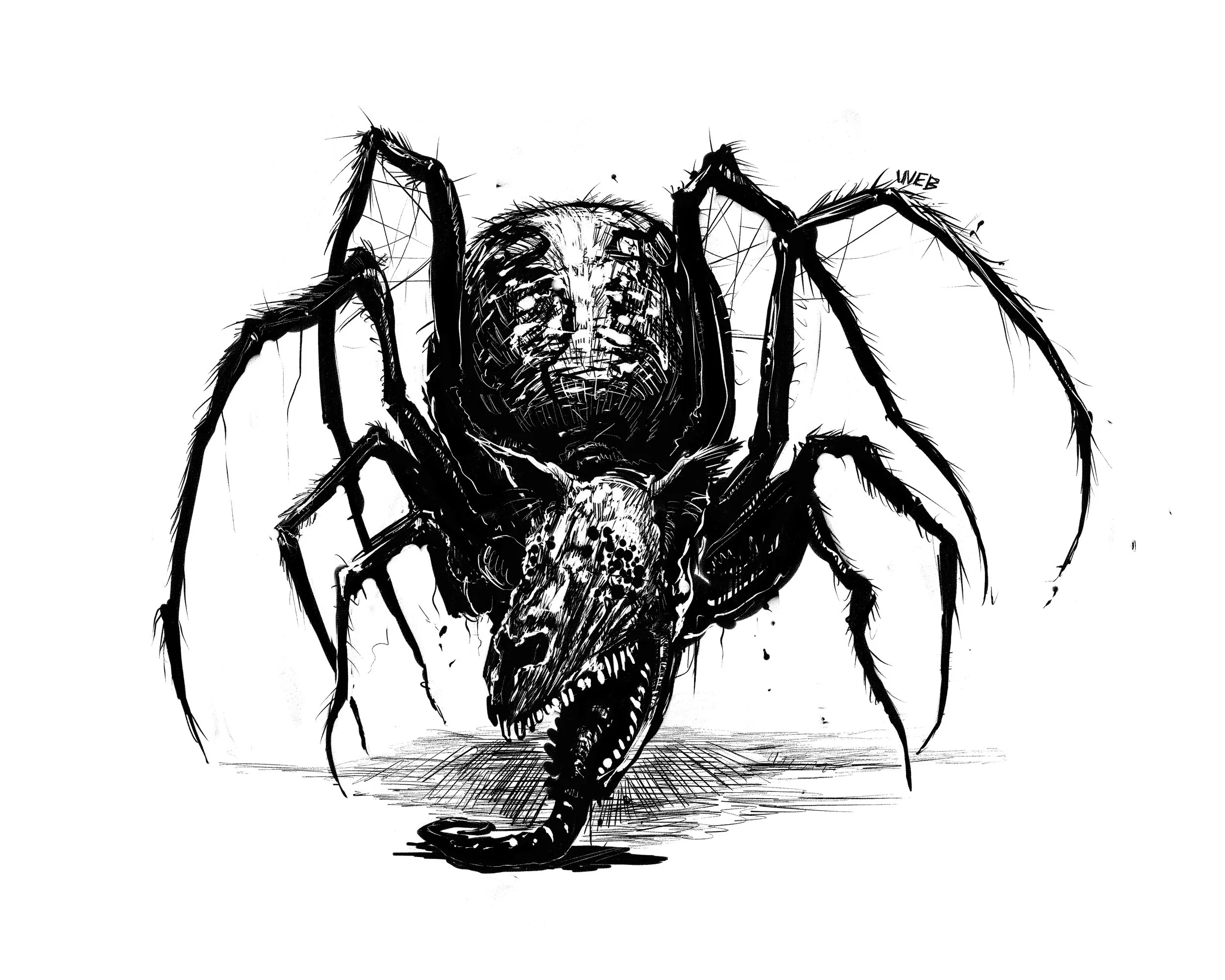 spider doggofinalk.jpeg