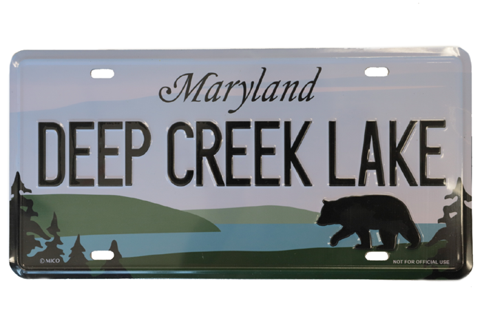 LicensePlateScreen-Shot-2019-05-24-at-9.10.00-PM-copy.png