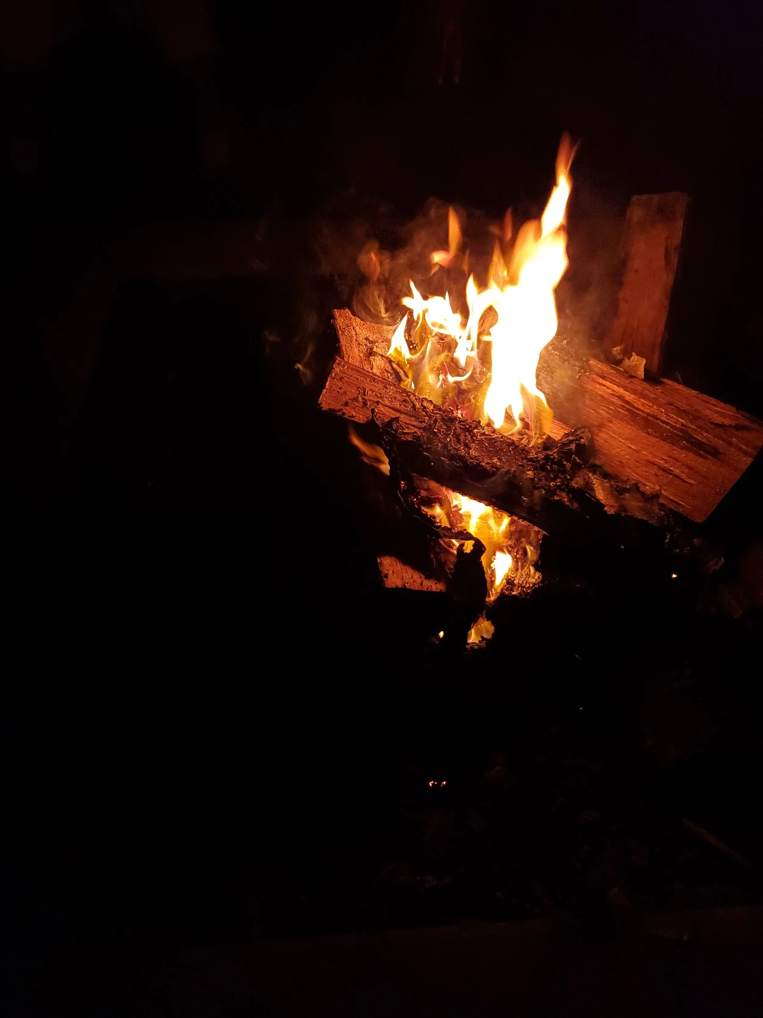 "Free to Burn"
