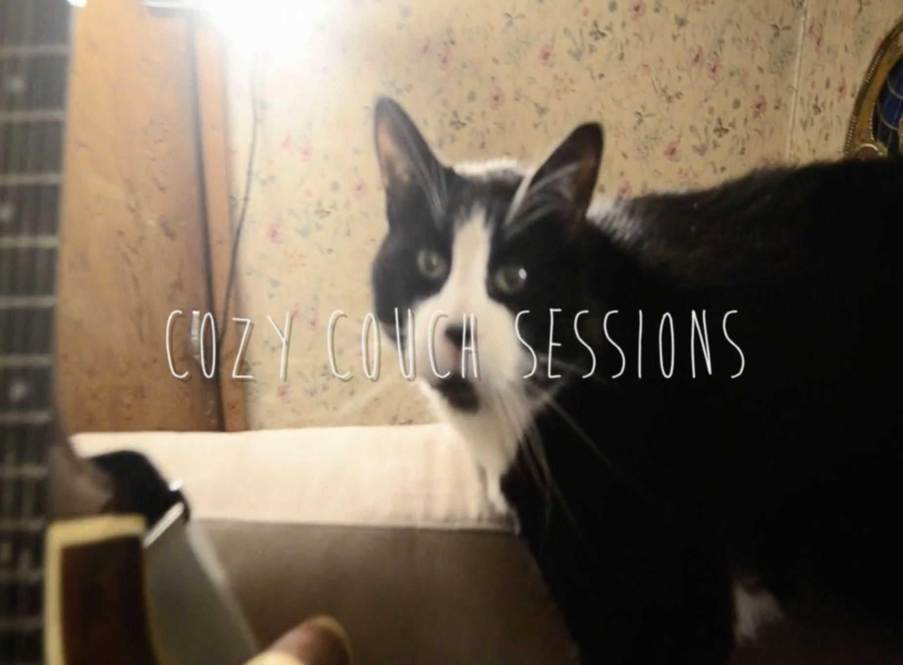 'Cozy Couch Sessions' Live Performance 