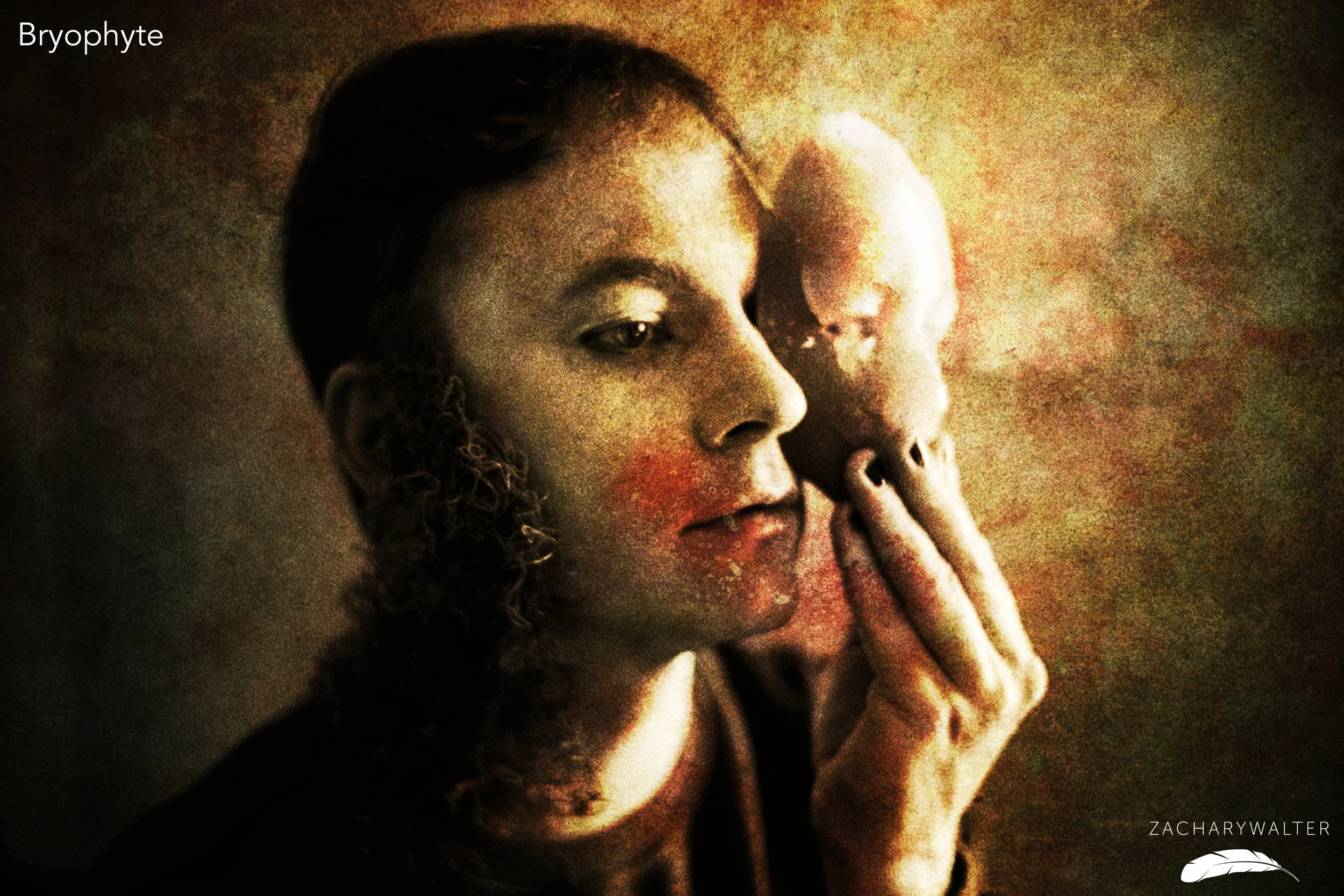 Bryophytes // Single &amp; Short Film 