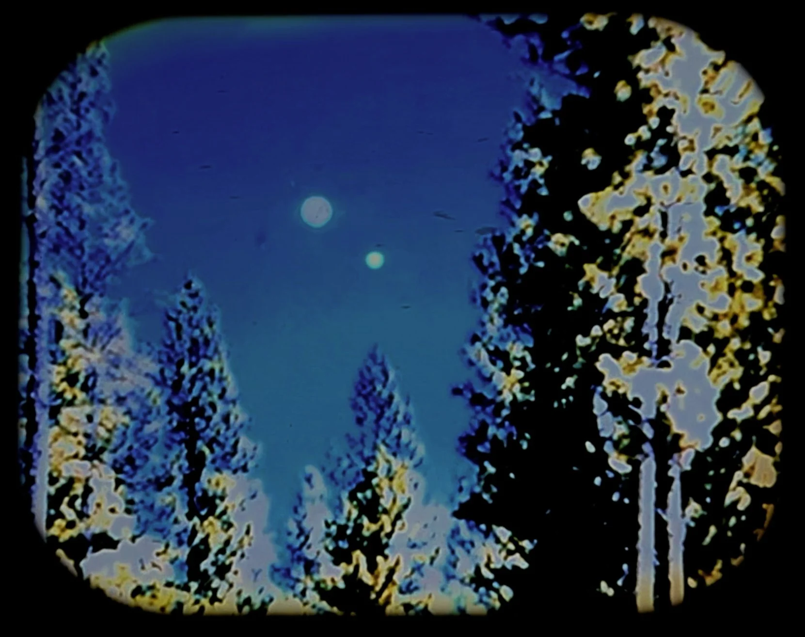 Blackfoot Pathways; Sculpture in The Wild. Stream the Documentary exclusively on YouTube. 