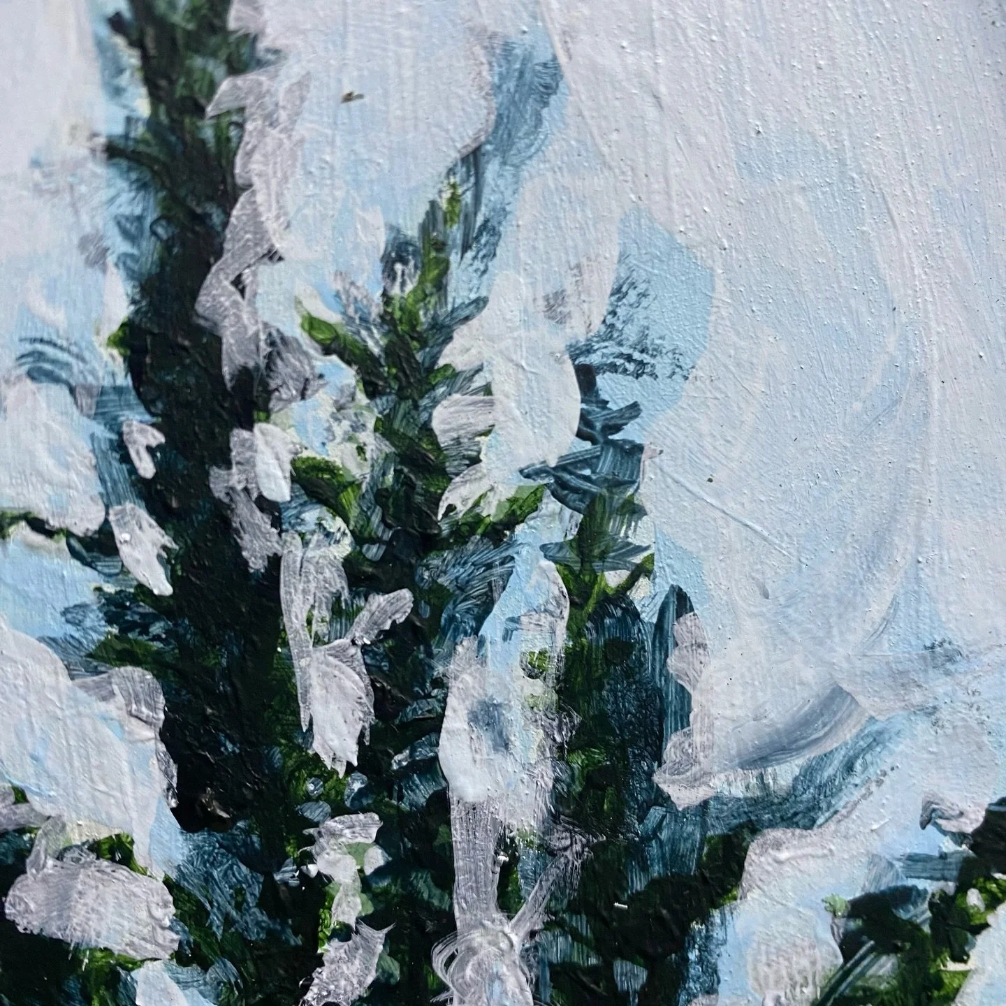 ❄️Wishful thinking that tonight I will get to see the first snowflakes of winter.❄️

#paintallofthehours
#gvlarts 
#onward 
#torulosajuniper