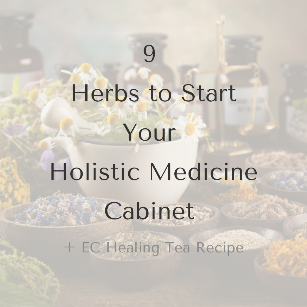 9 Herbs To Start Your Holistic Medicine Cabinet + Healing Tea Recipe