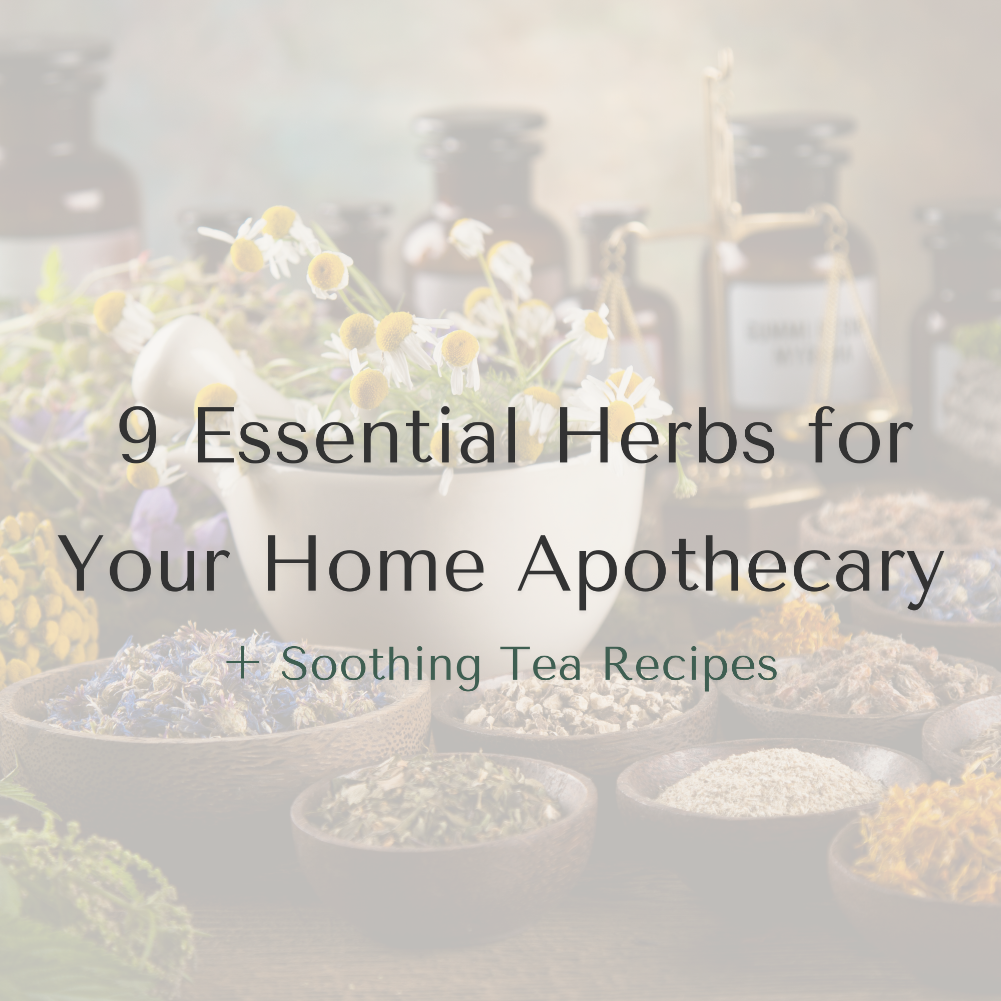 9 Essential Herbs for Your Home Apothecary + Soothing Tea Recipes
