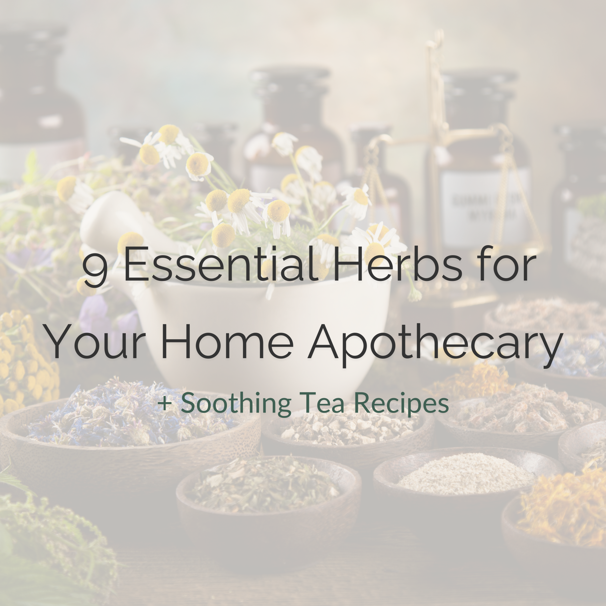 9 Essential Herbs for Your Home Apothecary + Soothing Tea Recipes