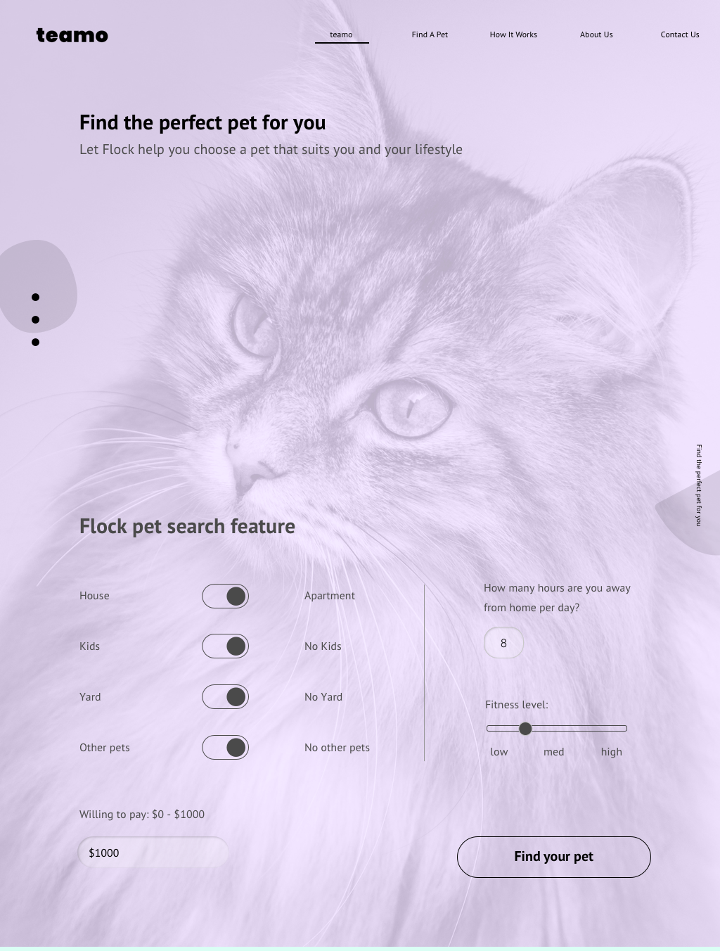 iPad Pro.png