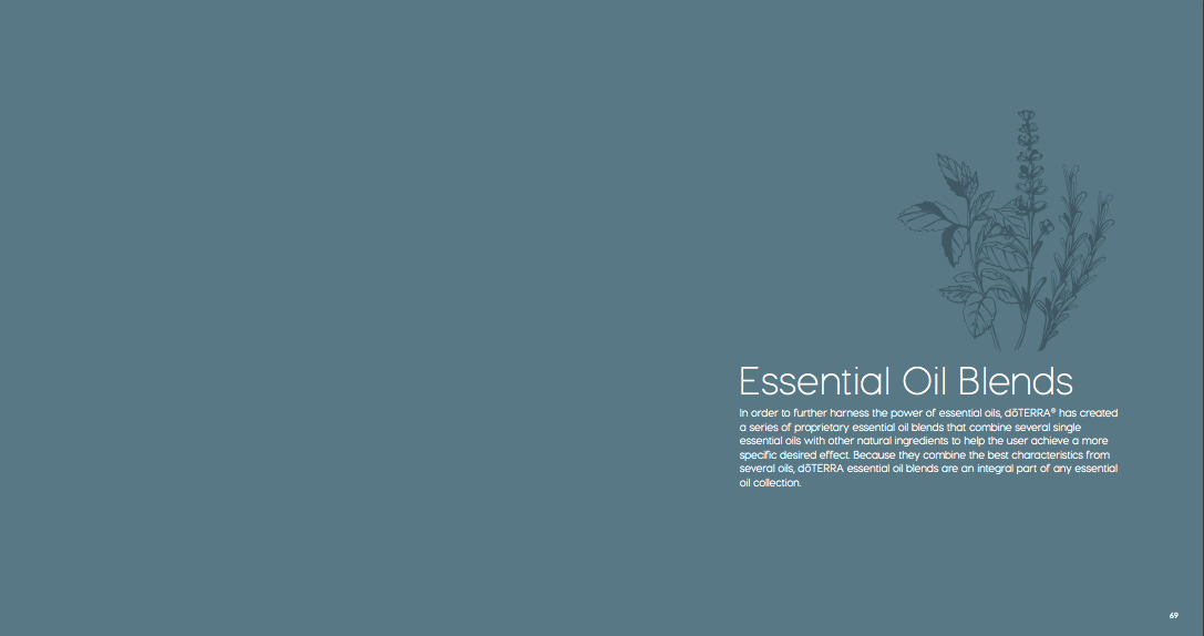 Screen Shot 2018-07-30 at 07.30.14.png