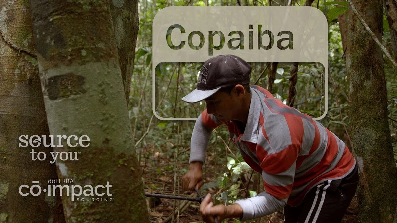 doterra_copaiba.jpg