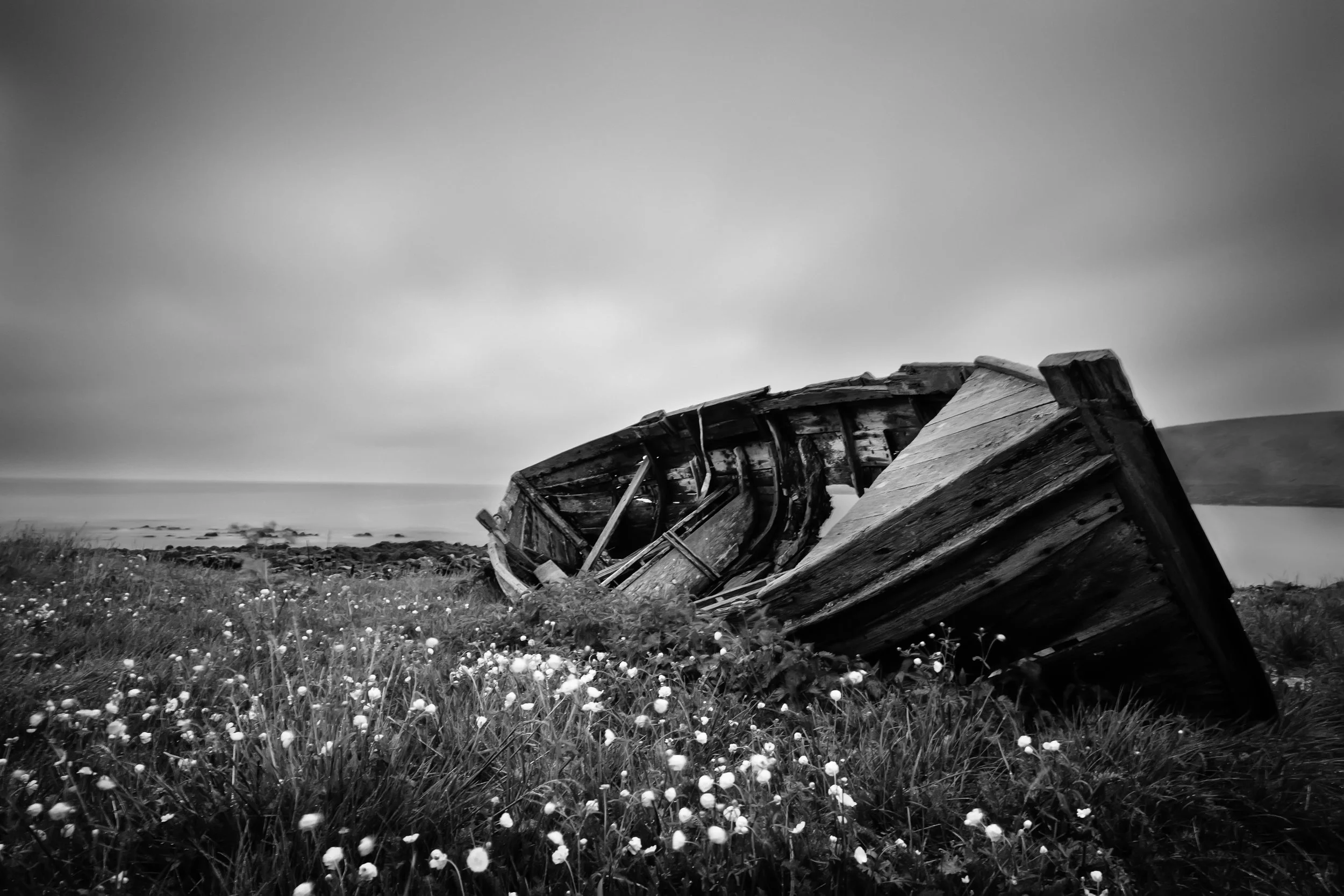 20160618-_DSF9477-Bearbeitet.jpg