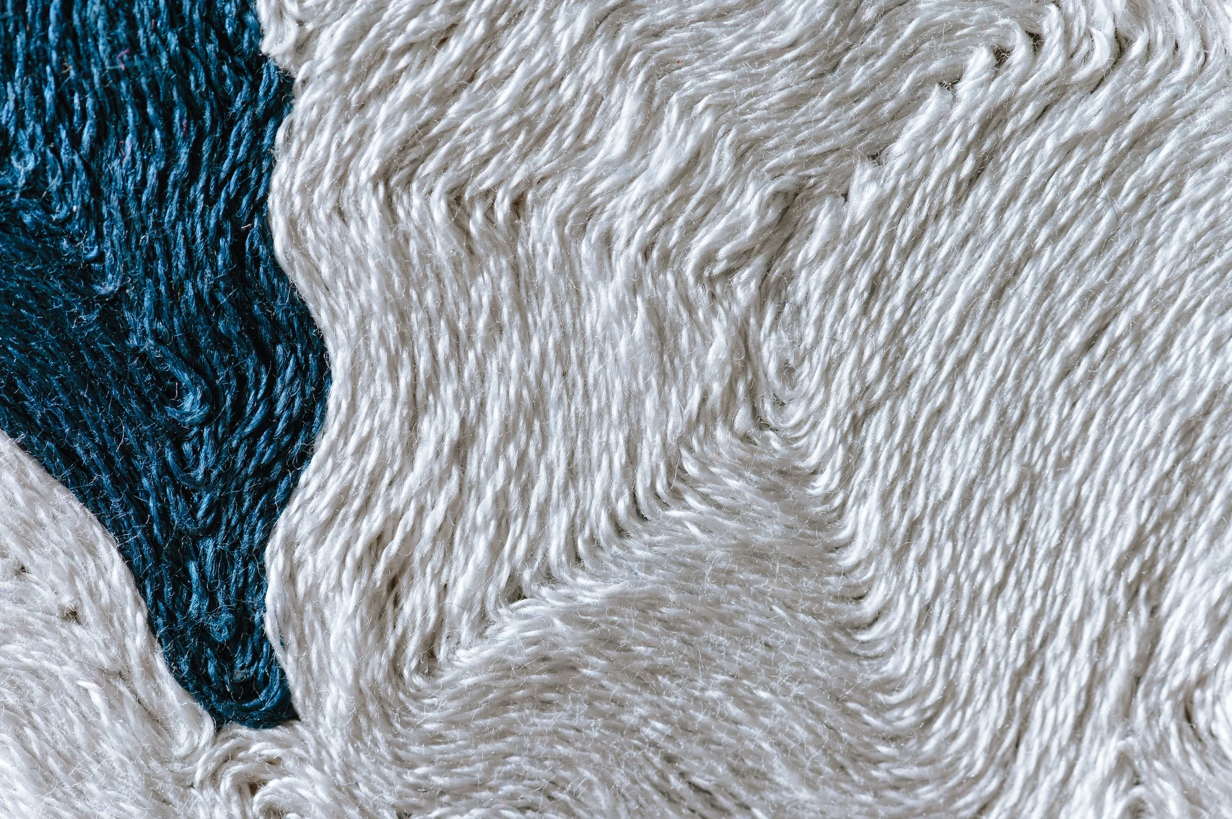 Joe-Lozano-240205-Maria Fernanda Barrero - Registro de Obra-026-4K.jpg