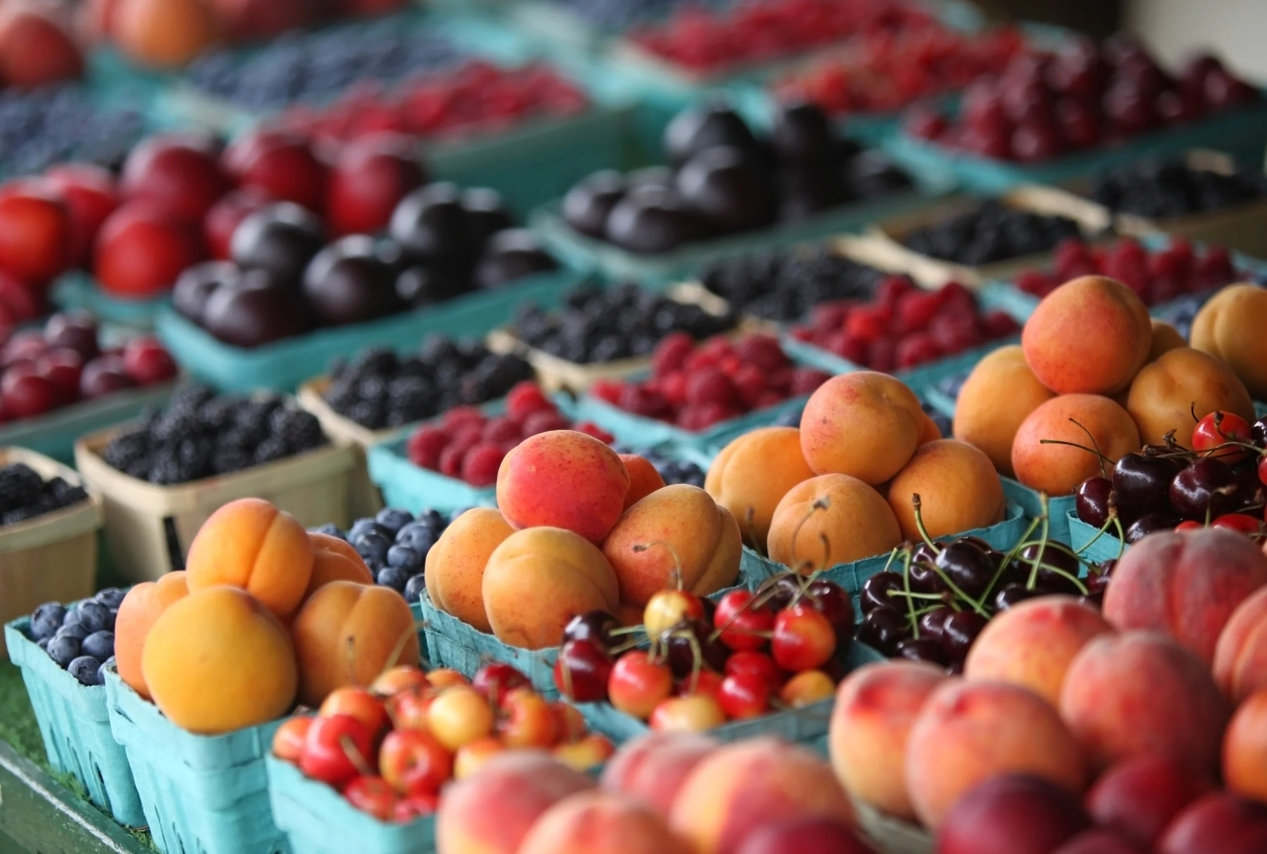AdobeStock_15807850.jpeg