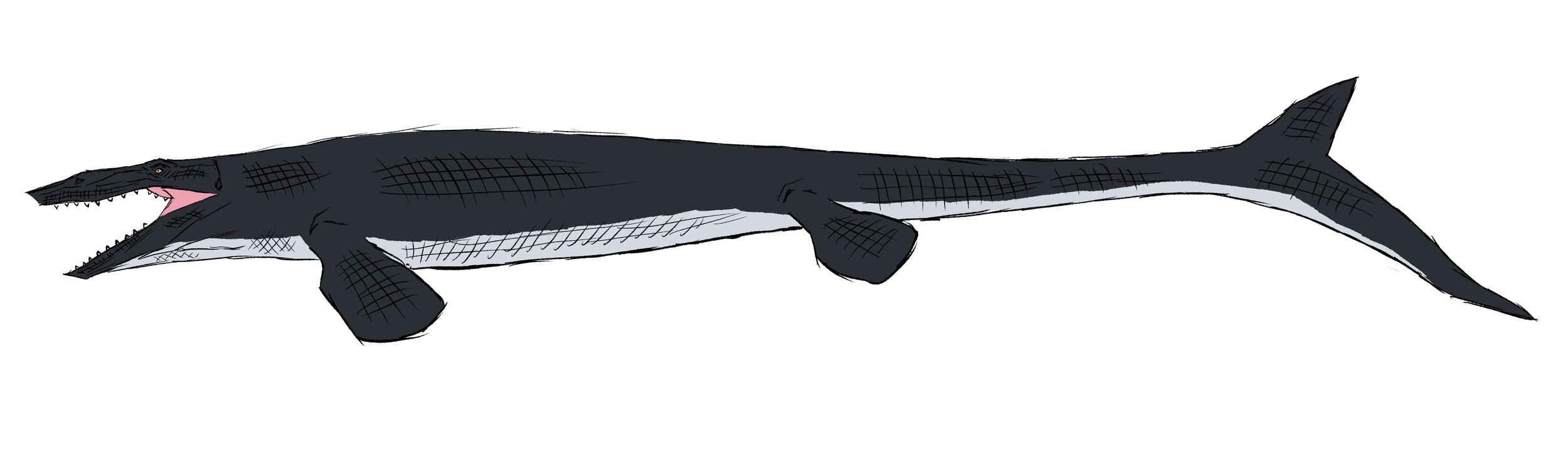 TP26D_JRynn_TylosaurusDesign.jpg