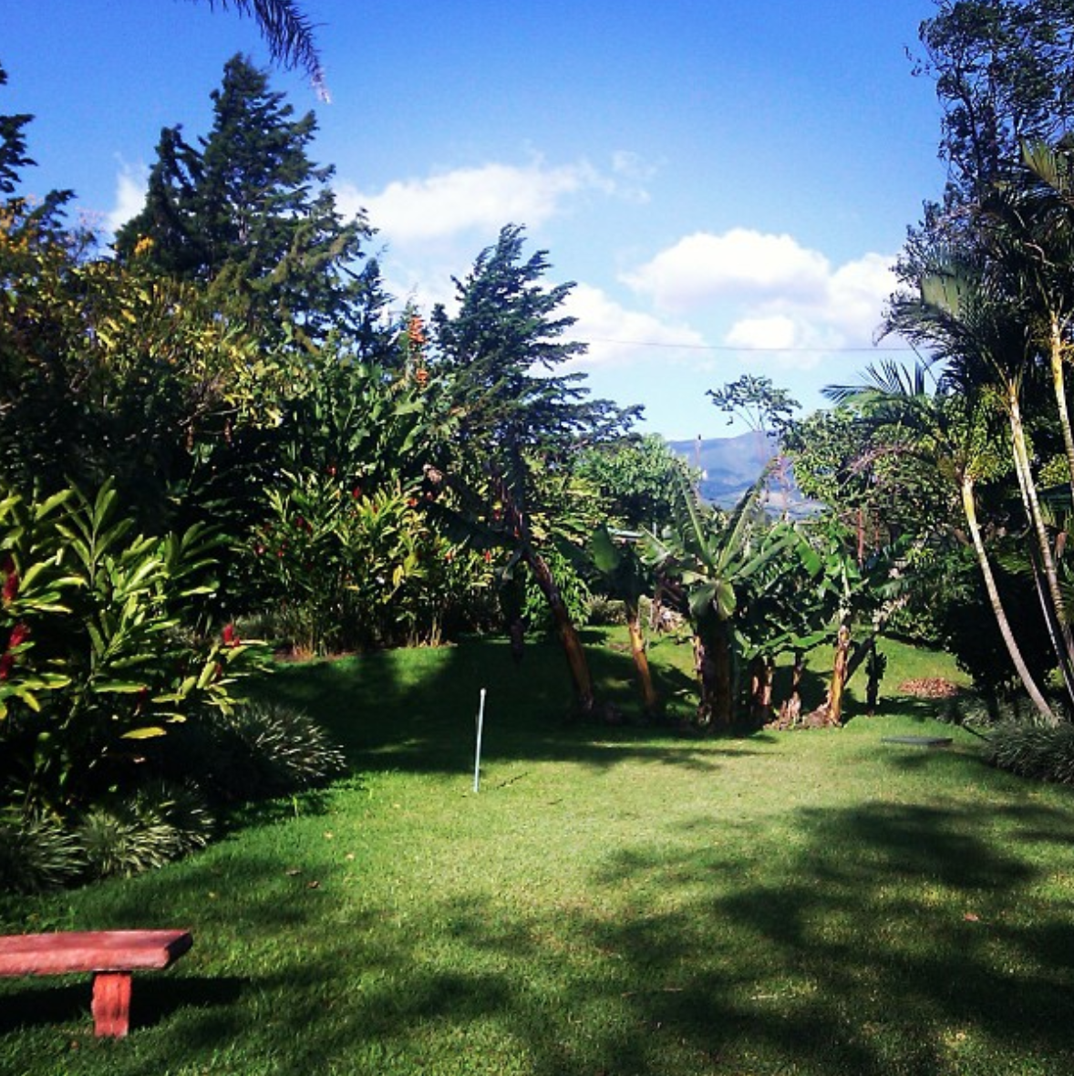  The Doka Estate Coffee Plantation offers a beautiful view for visitors. 