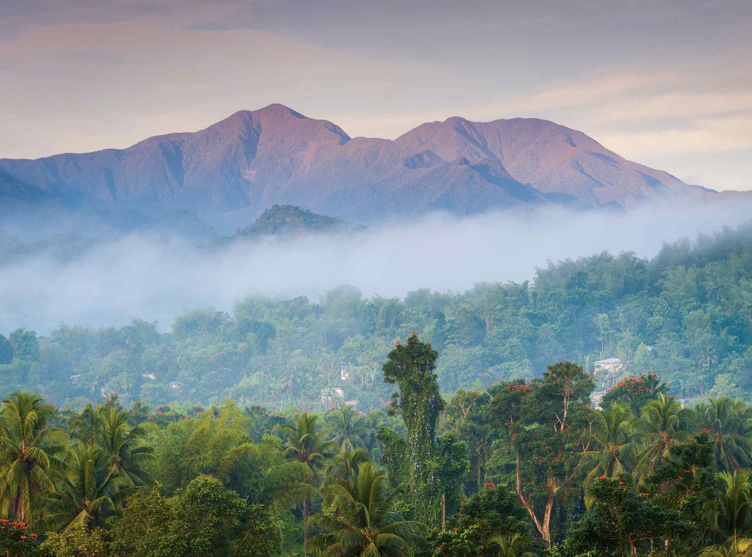 Portland Parish with the Blue Mountains in the background | Image- Getty Images:AWL Images RM.jpg