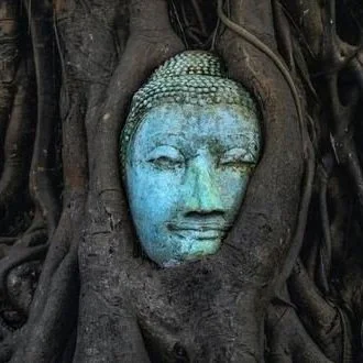 Buddha+Tree.jpg