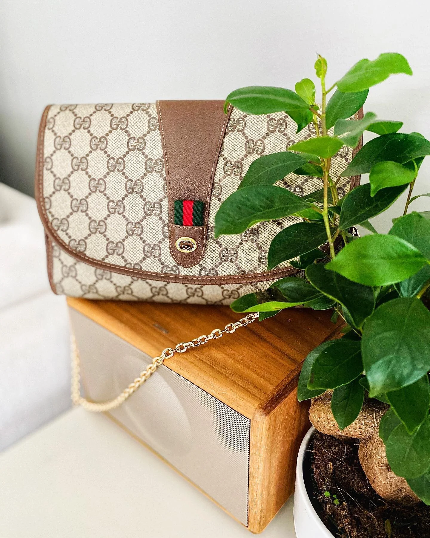 Little Miss Gucci 💁&zwj;♀️🌼