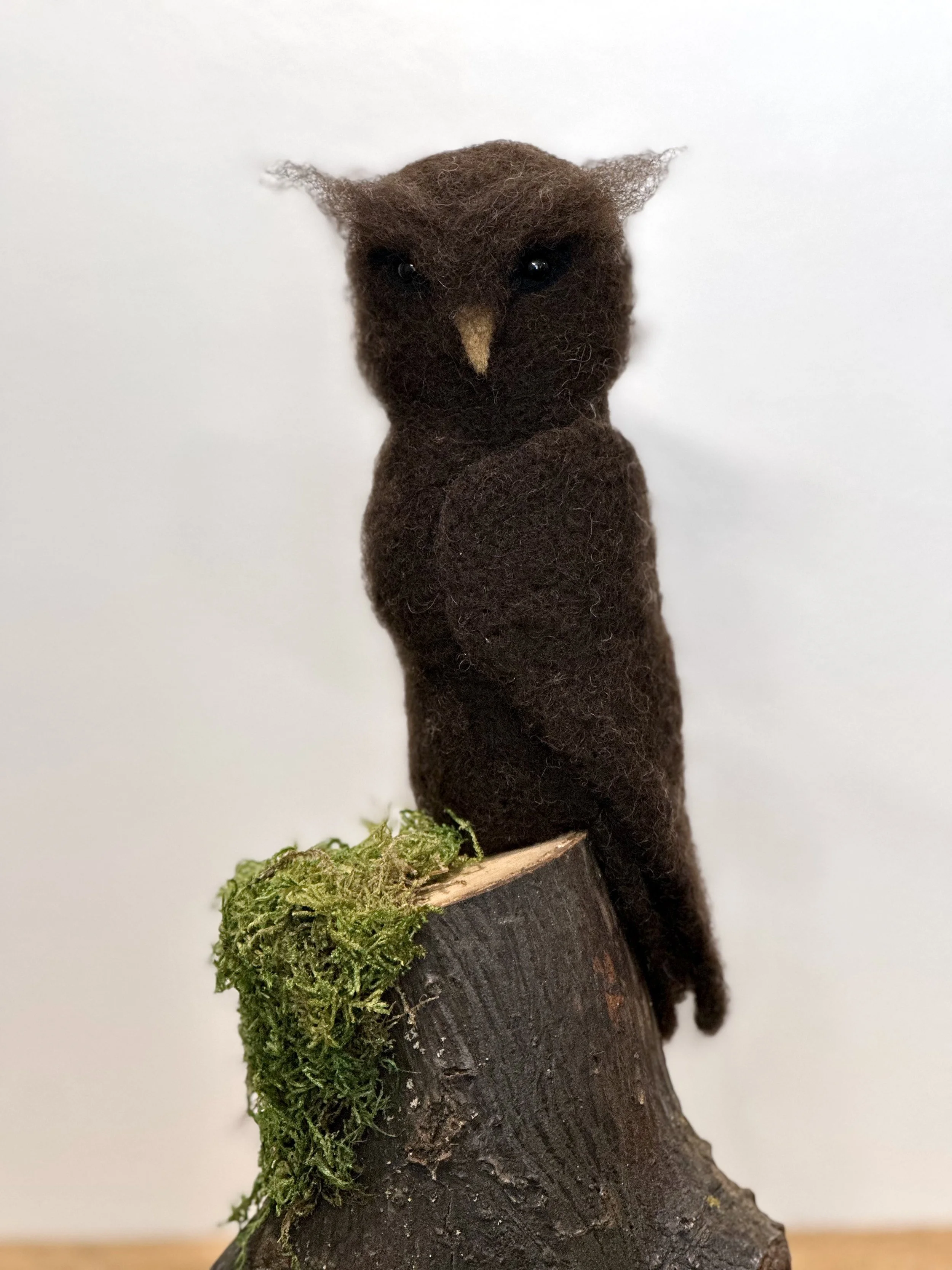 Small Great Horned Owl