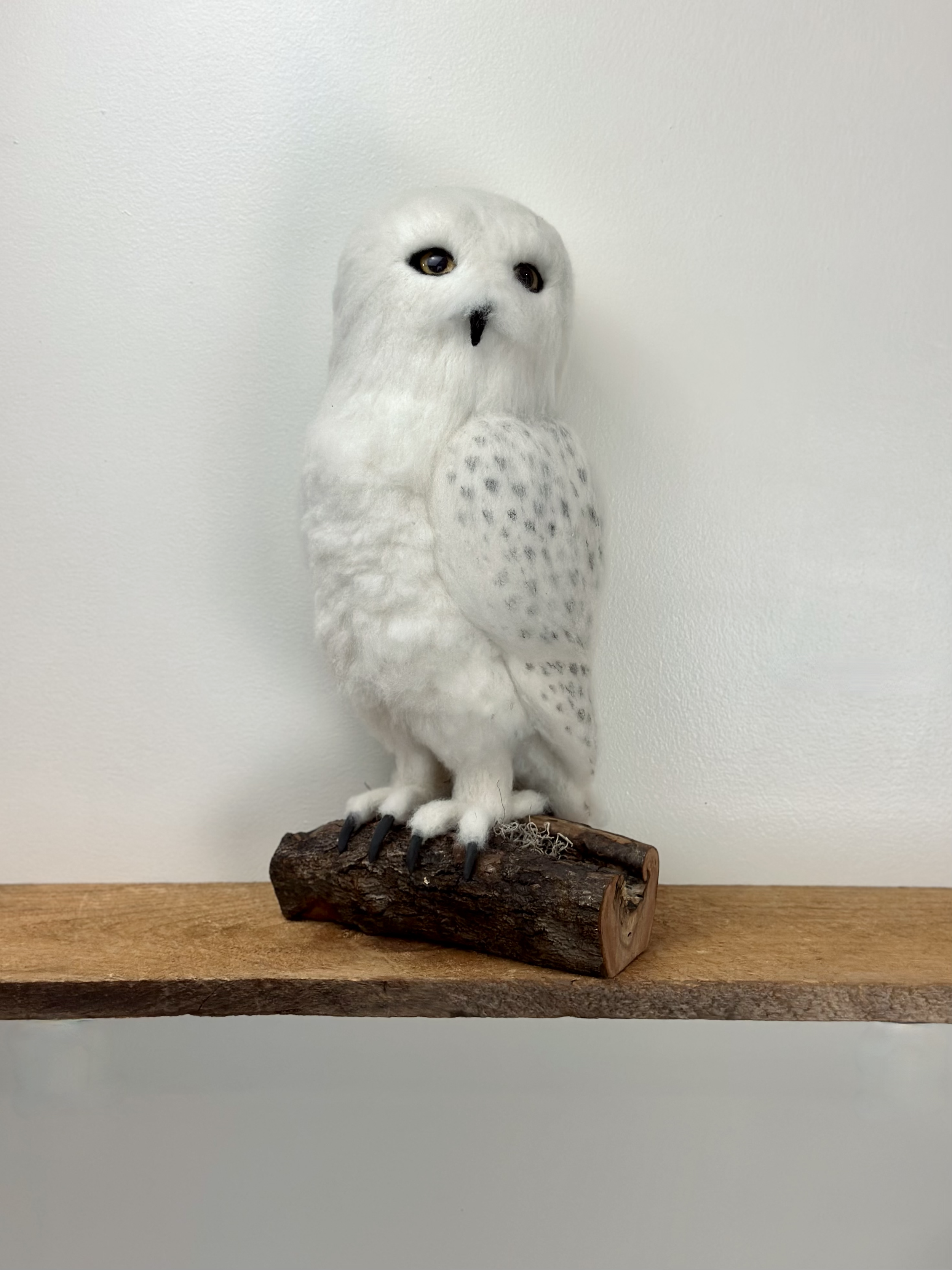 Life Size Snow Owl, handmade with Merino and Corriedale wool, perched on a log.