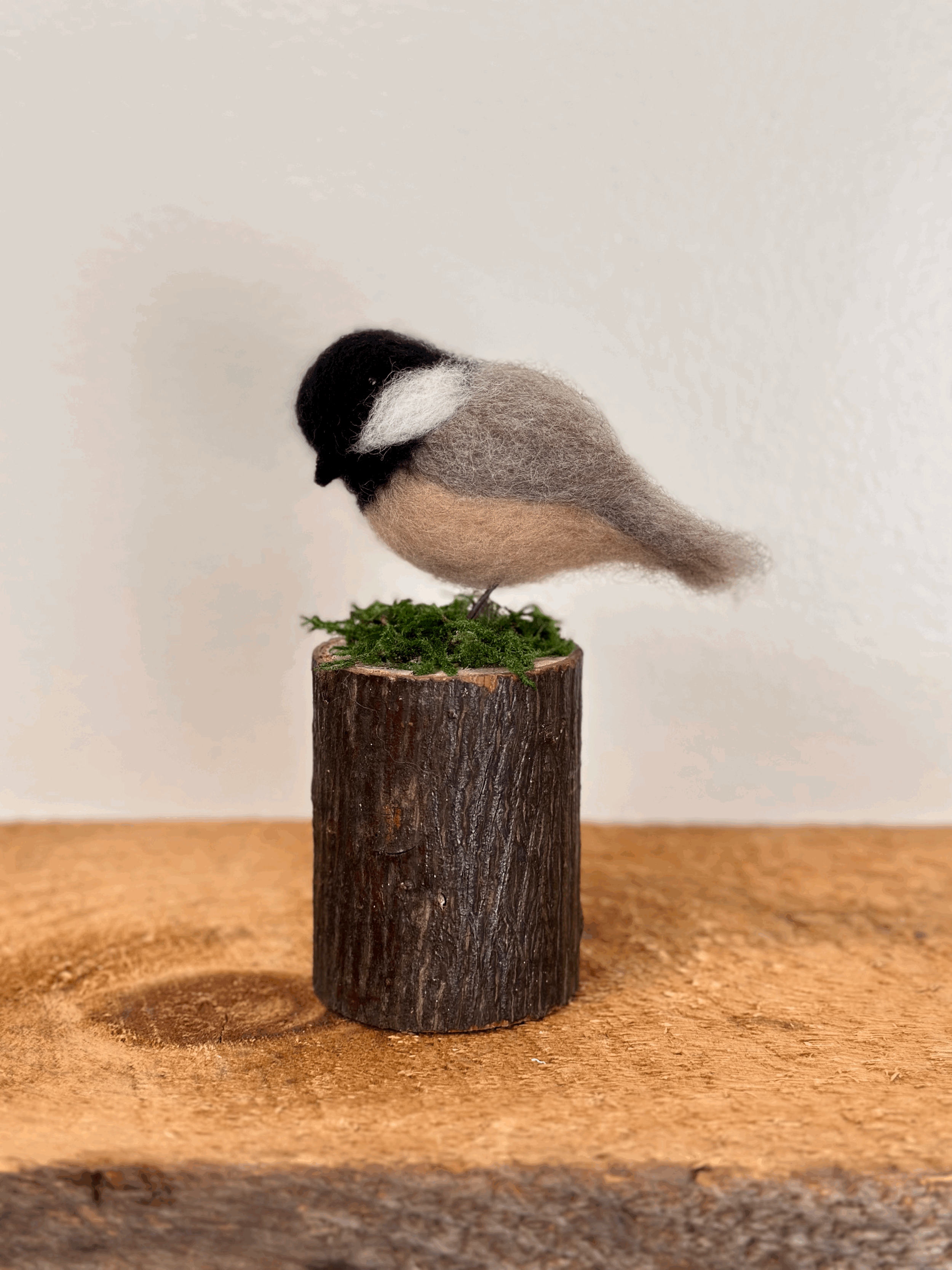 Chickadee on Moss