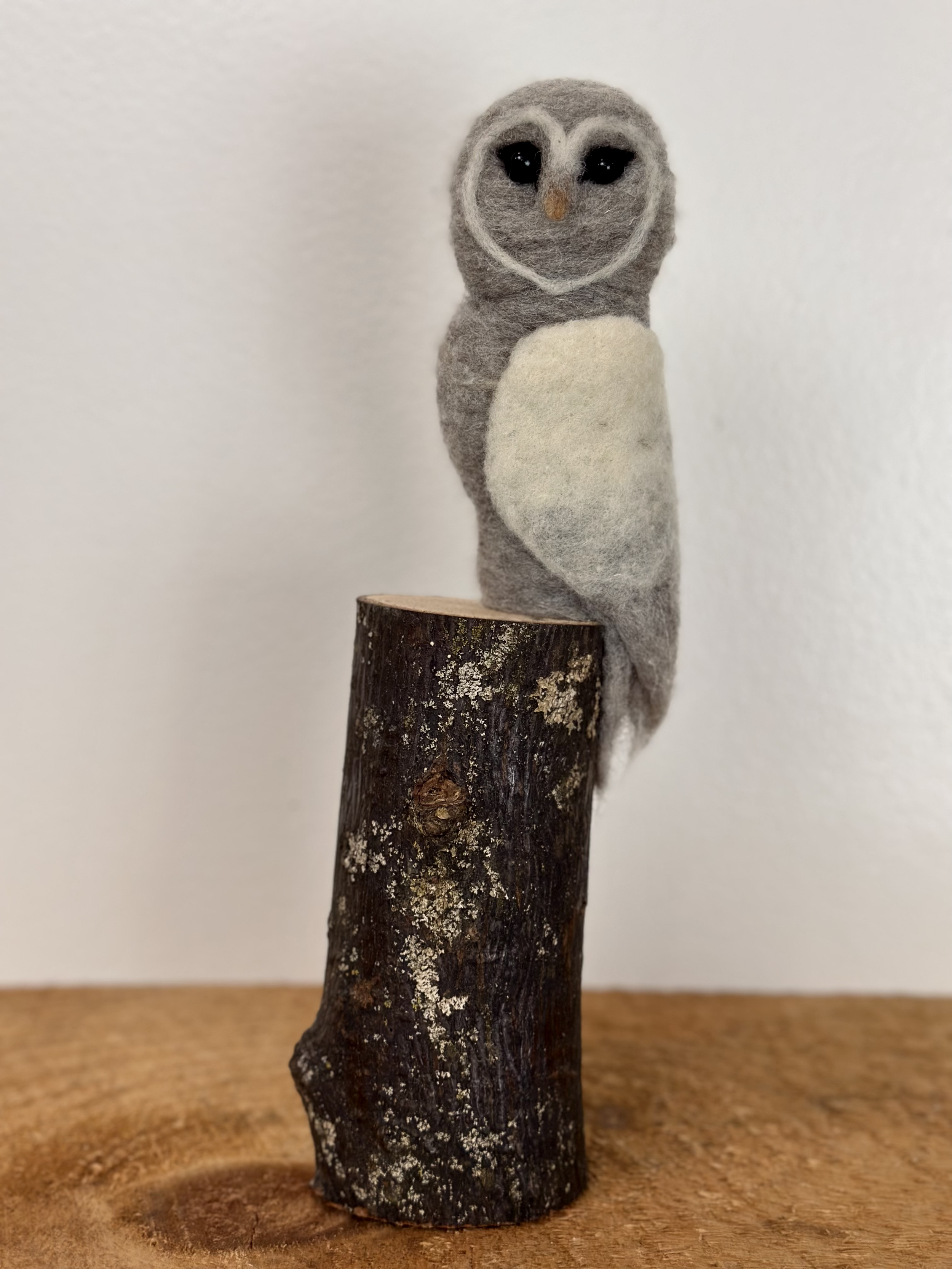Small, simple, and elegant Barn Owl