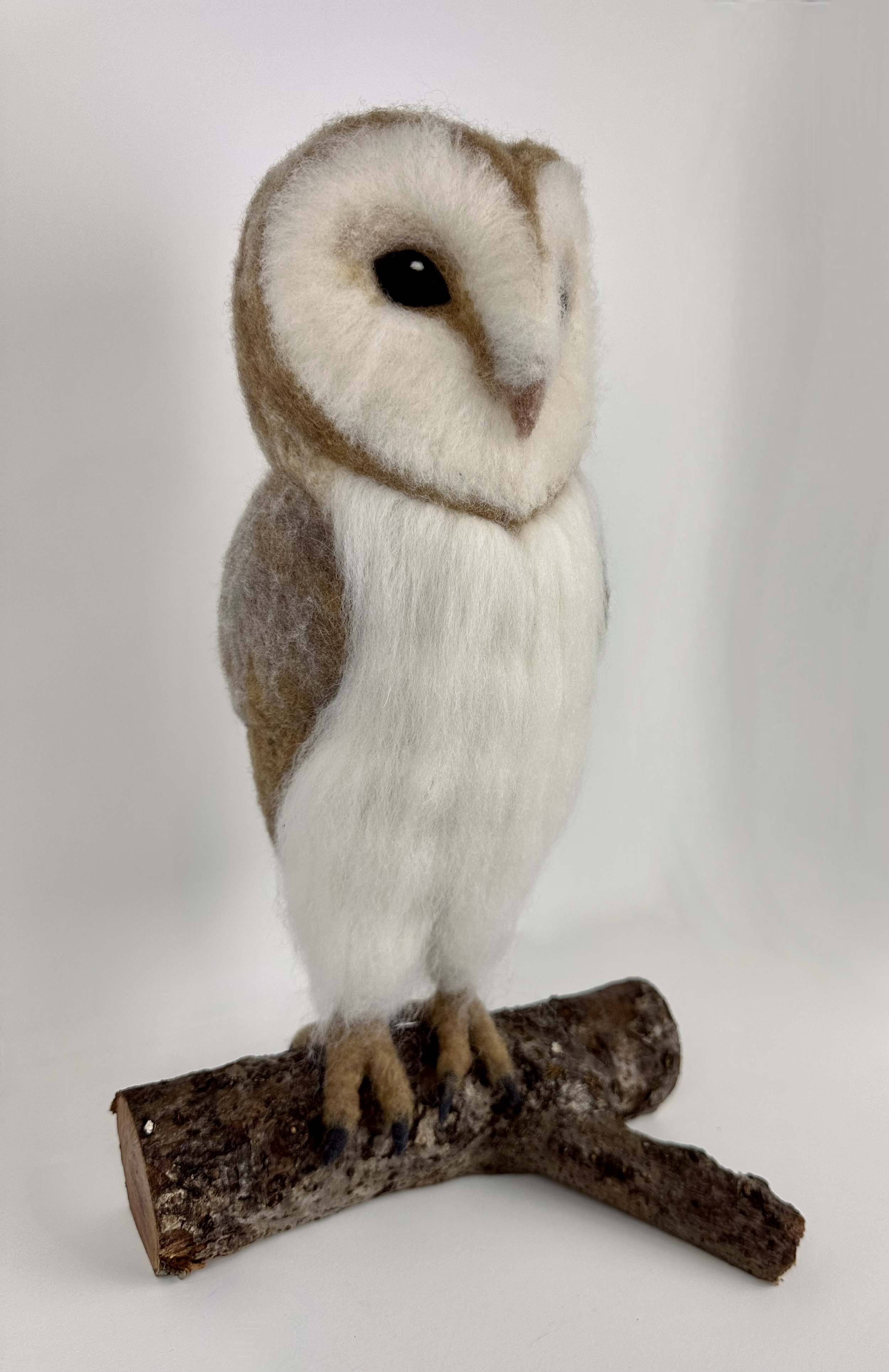 Hyper-realistic Barn Owl clutching a branch.