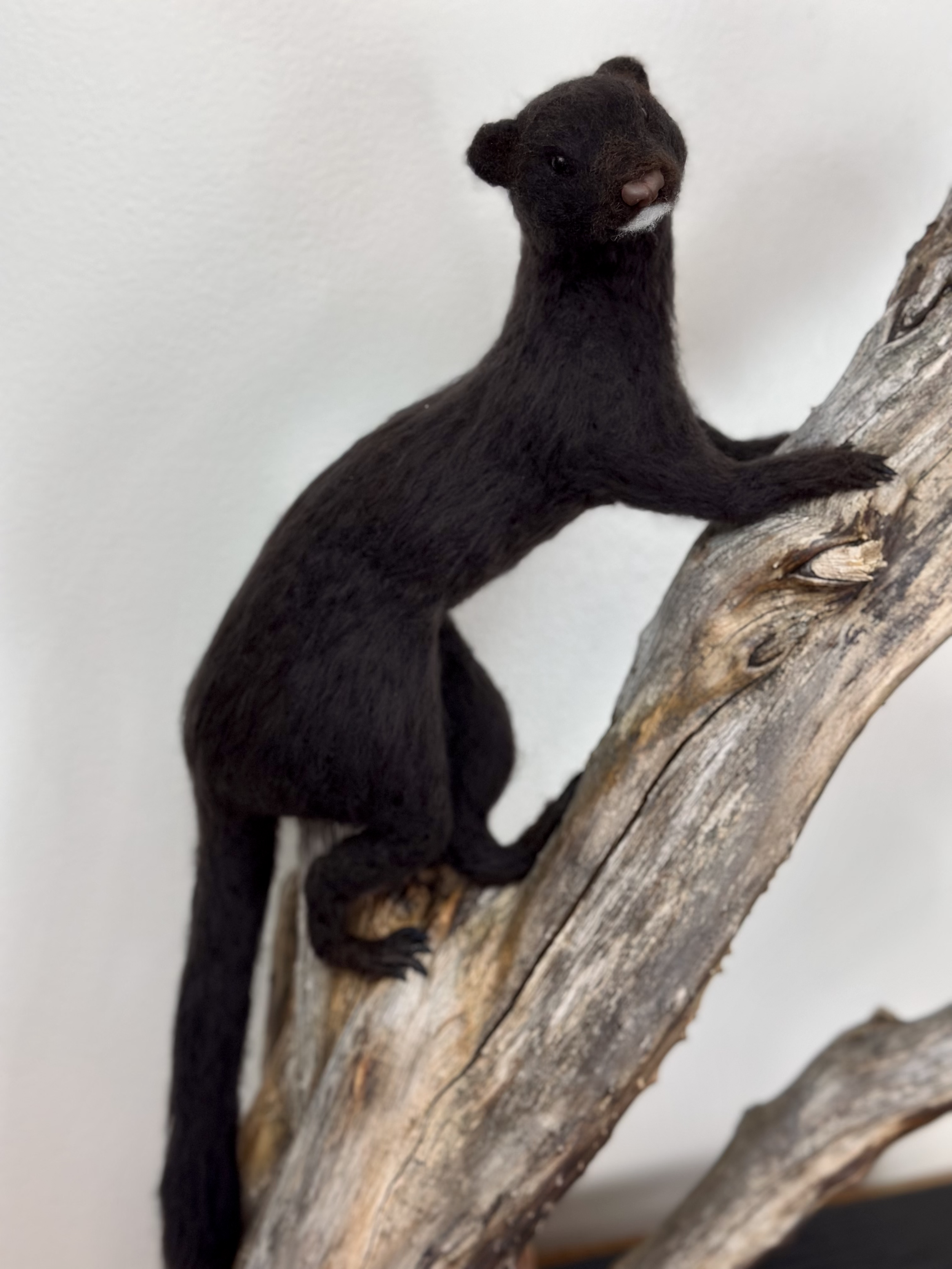 Needle Felted Life Size Mink, handmade with Merino and Corriedale Wool, mounted on a naturally unique piece of wood.