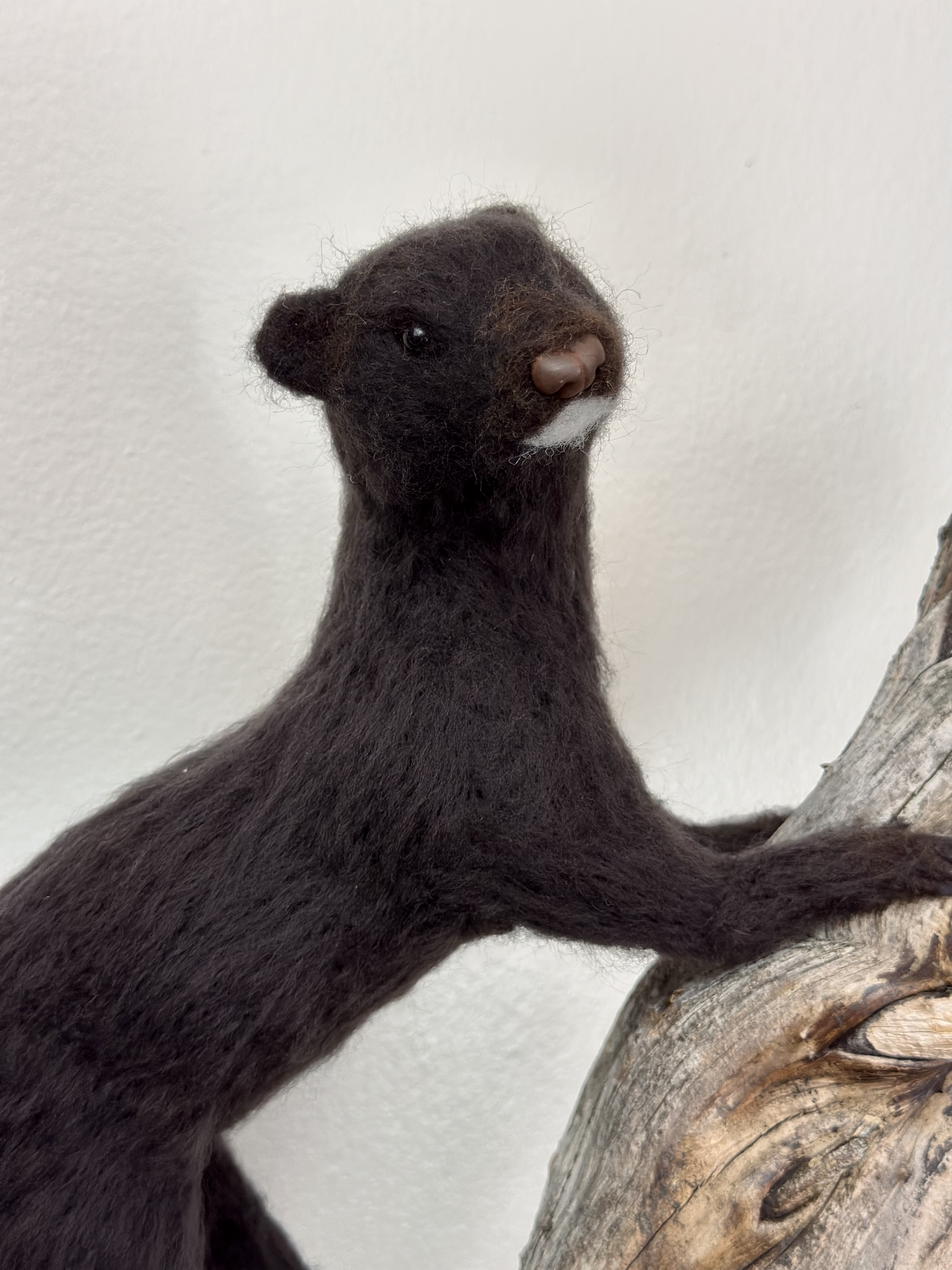 Needle Felted Life Size Mink, handmade with Merino and Corriedale Wool, mounted on a naturally unique piece of wood.