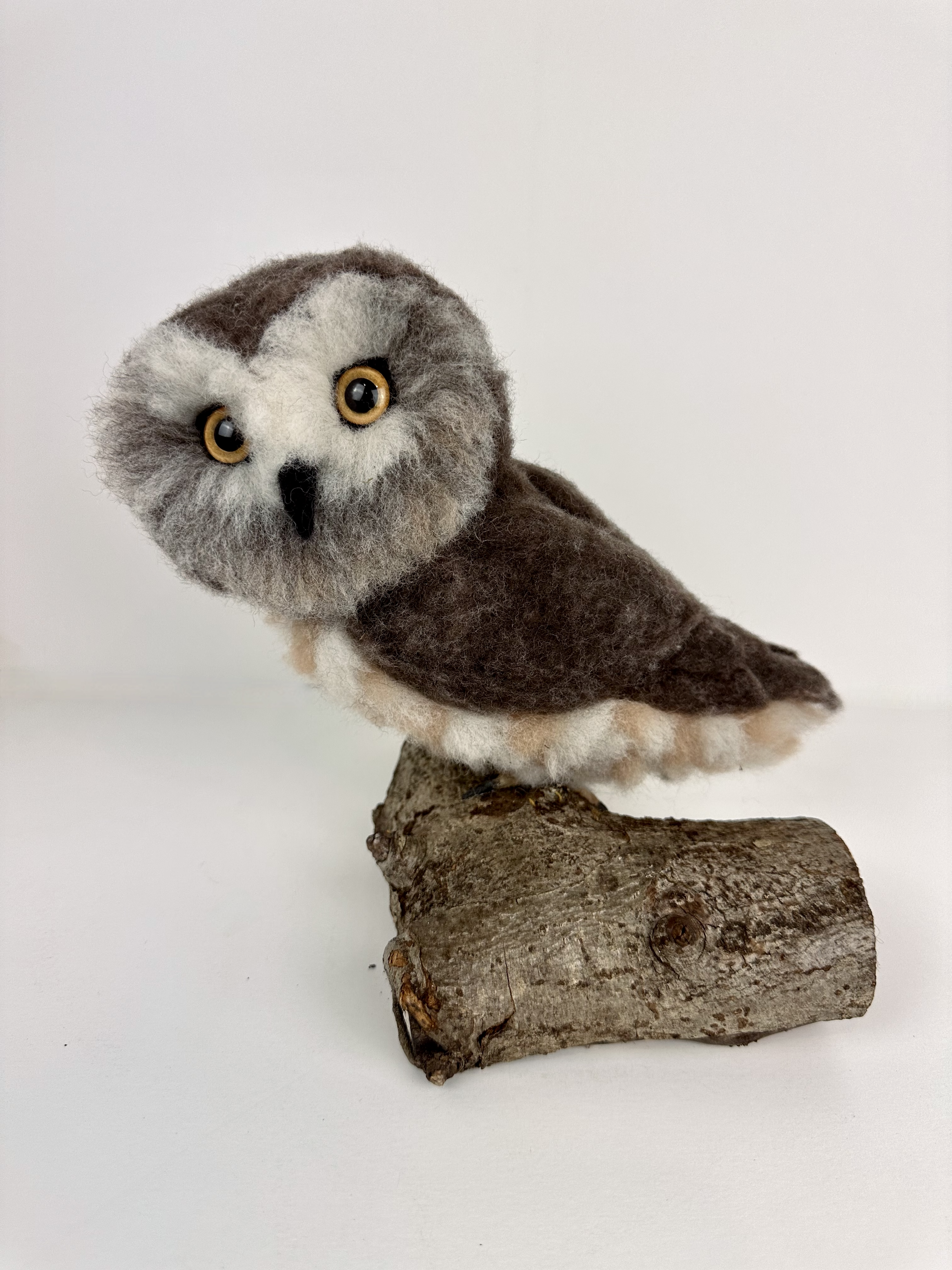 Life Size Saw-Whet Owl, handmade out of Merino and Corriedale Wool.