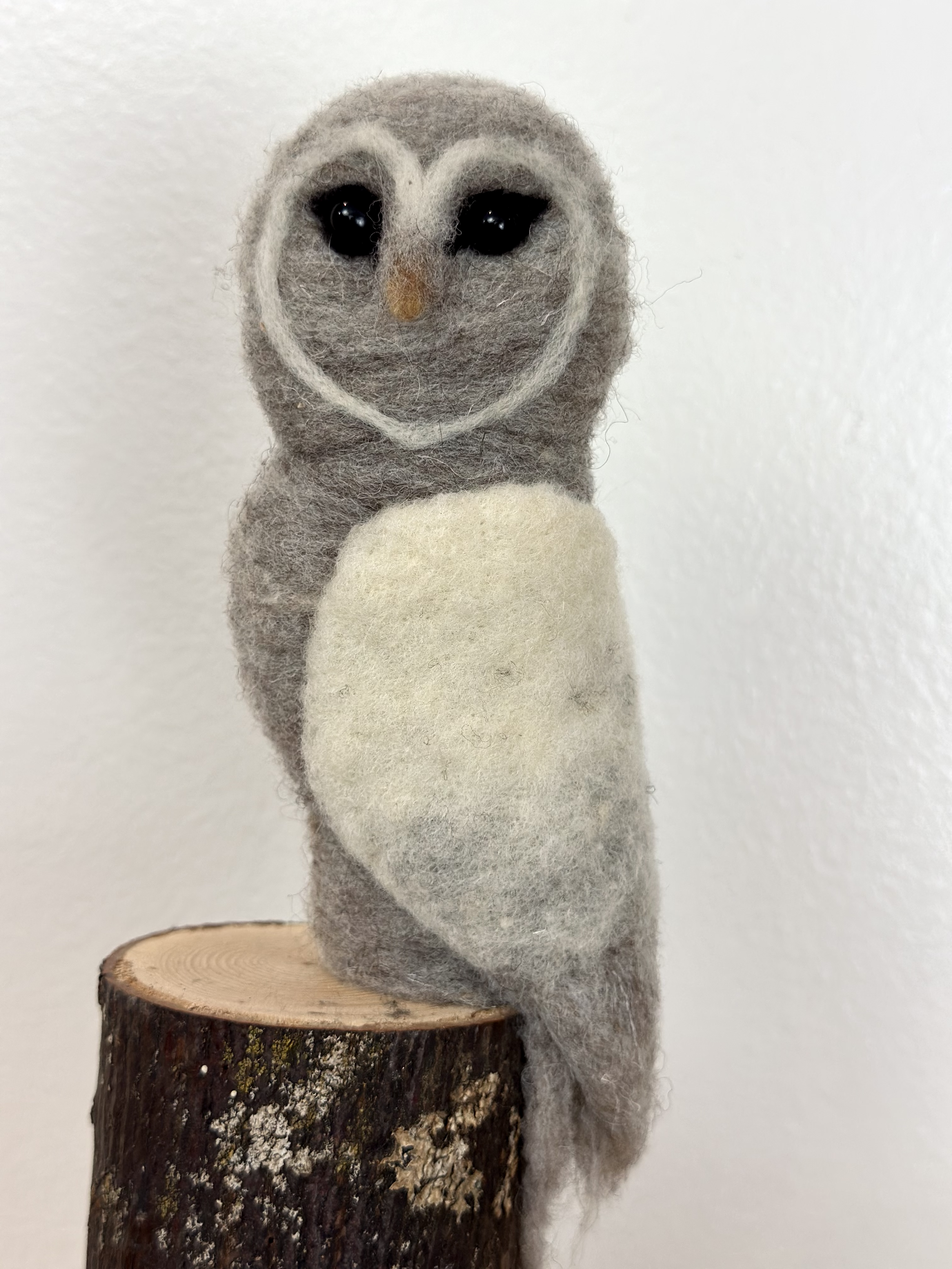 small, simple and elegant Barn Owl