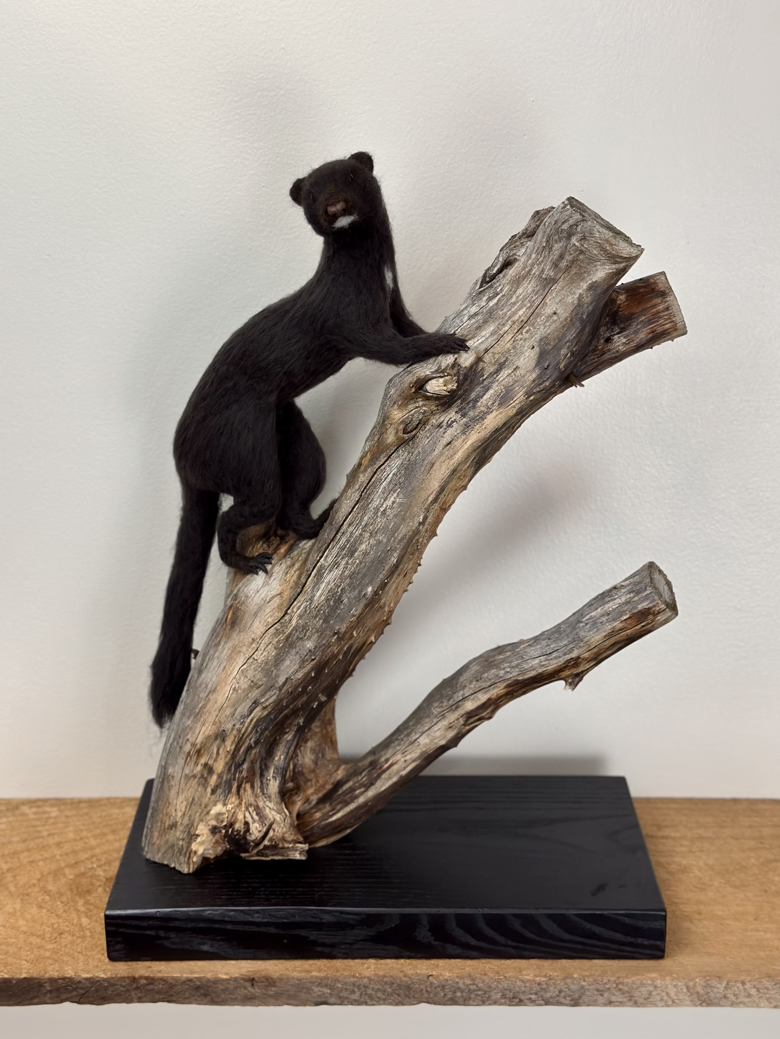 Needle Felted Life Size Mink, handmade with Merino and Corriedale Wool, mounted on a naturally unique piece of wood.