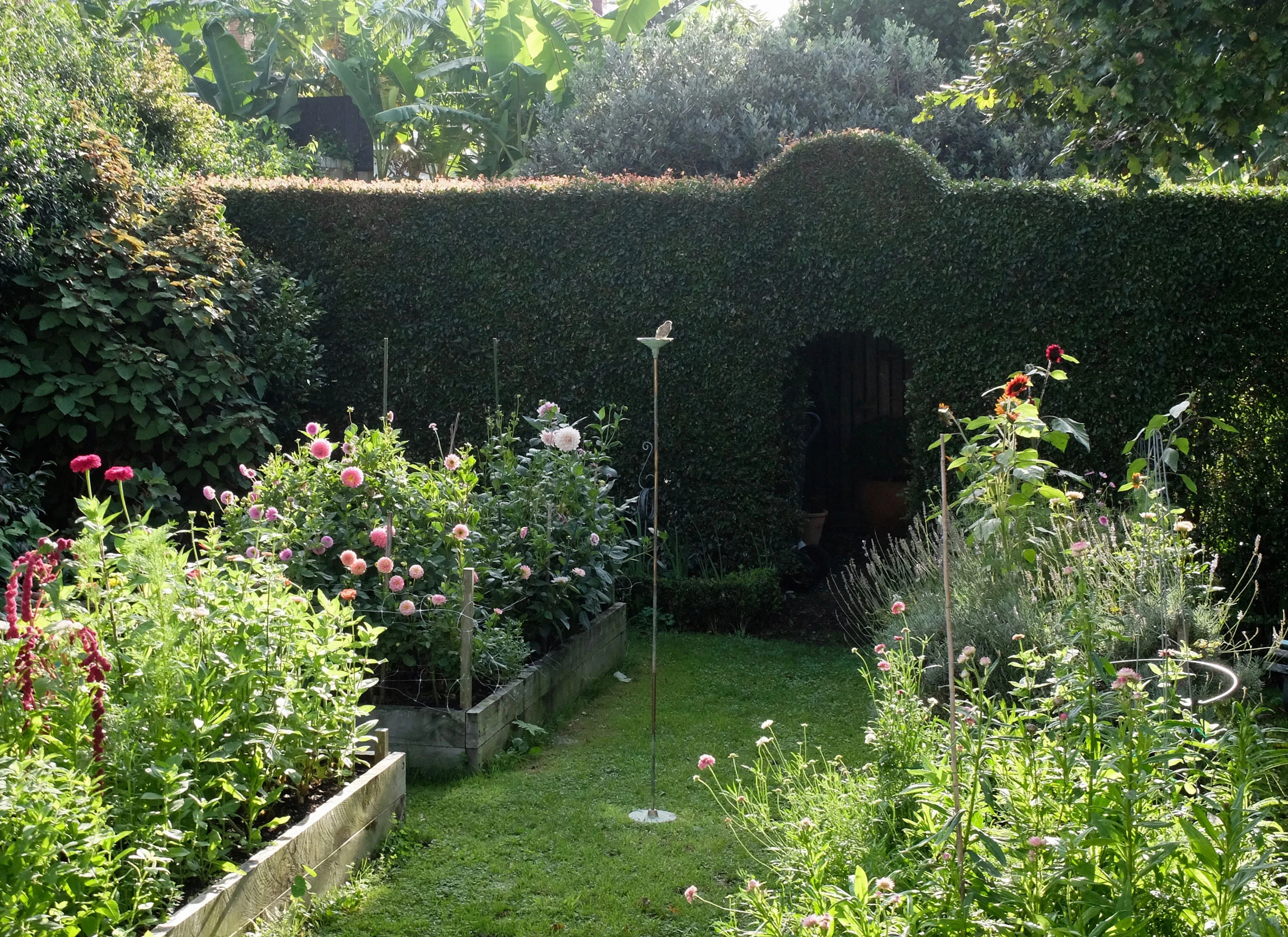 Inmygarden_12.jpg