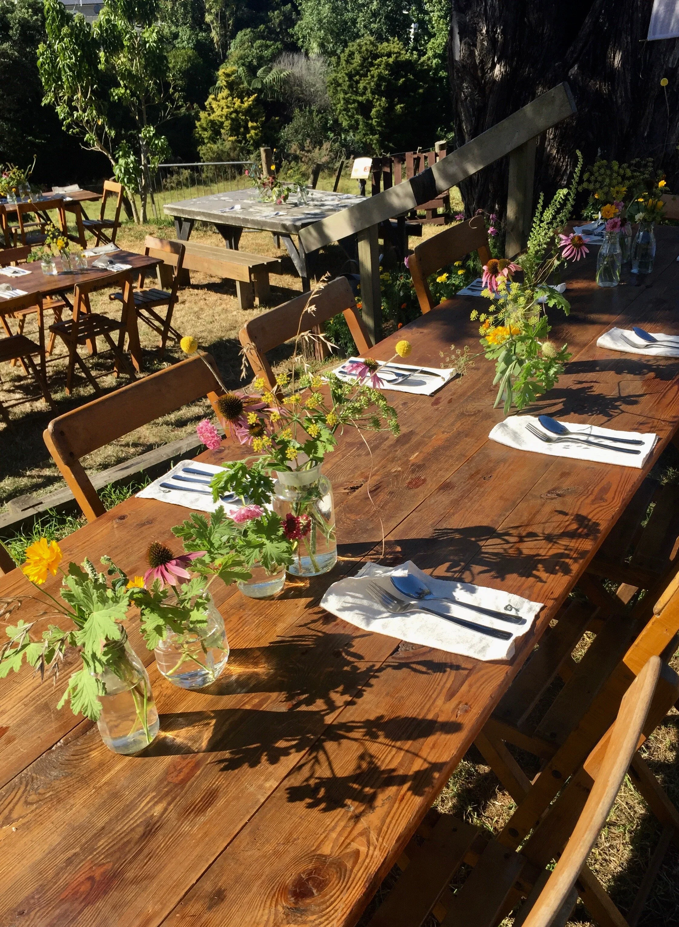 Forestpopup:Kelmarna.jpeg